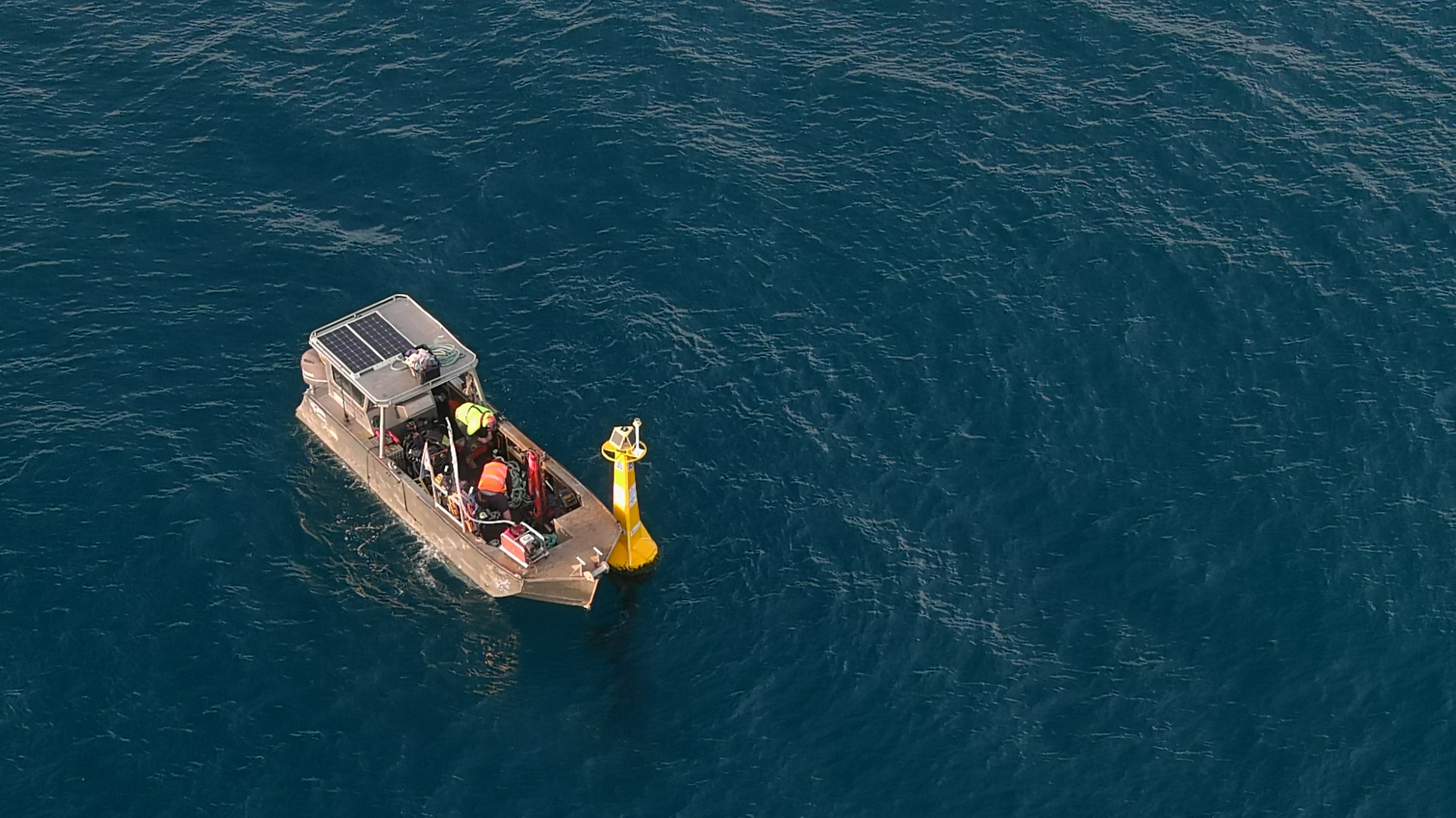 Hello Fish: A year of shark data