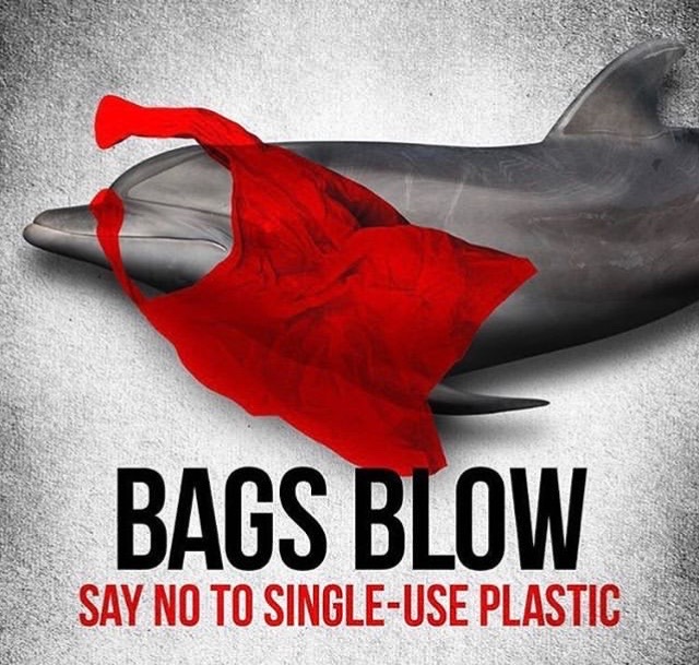 It's Plastic Free July