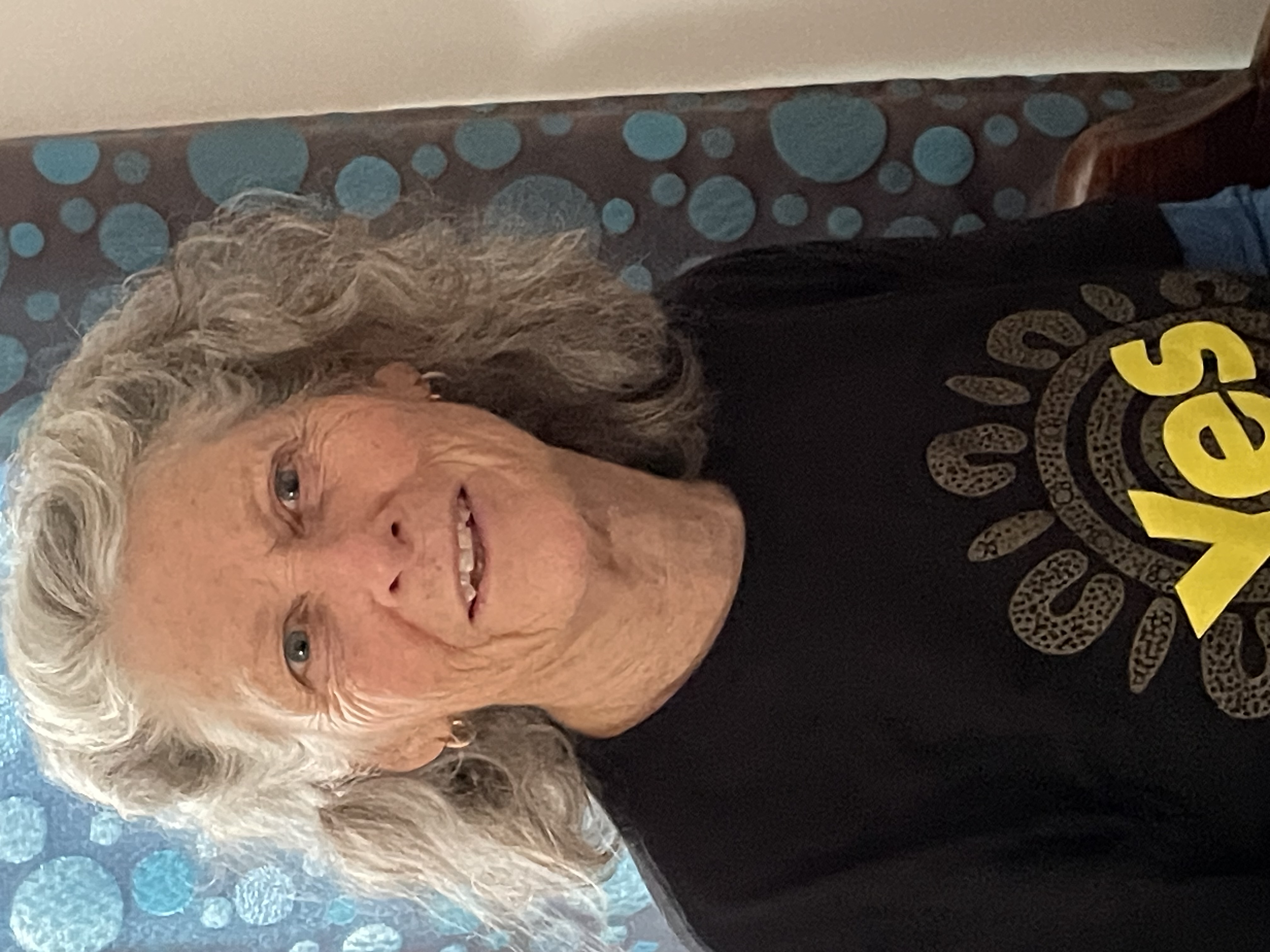 Annette's View on the Voice  post image