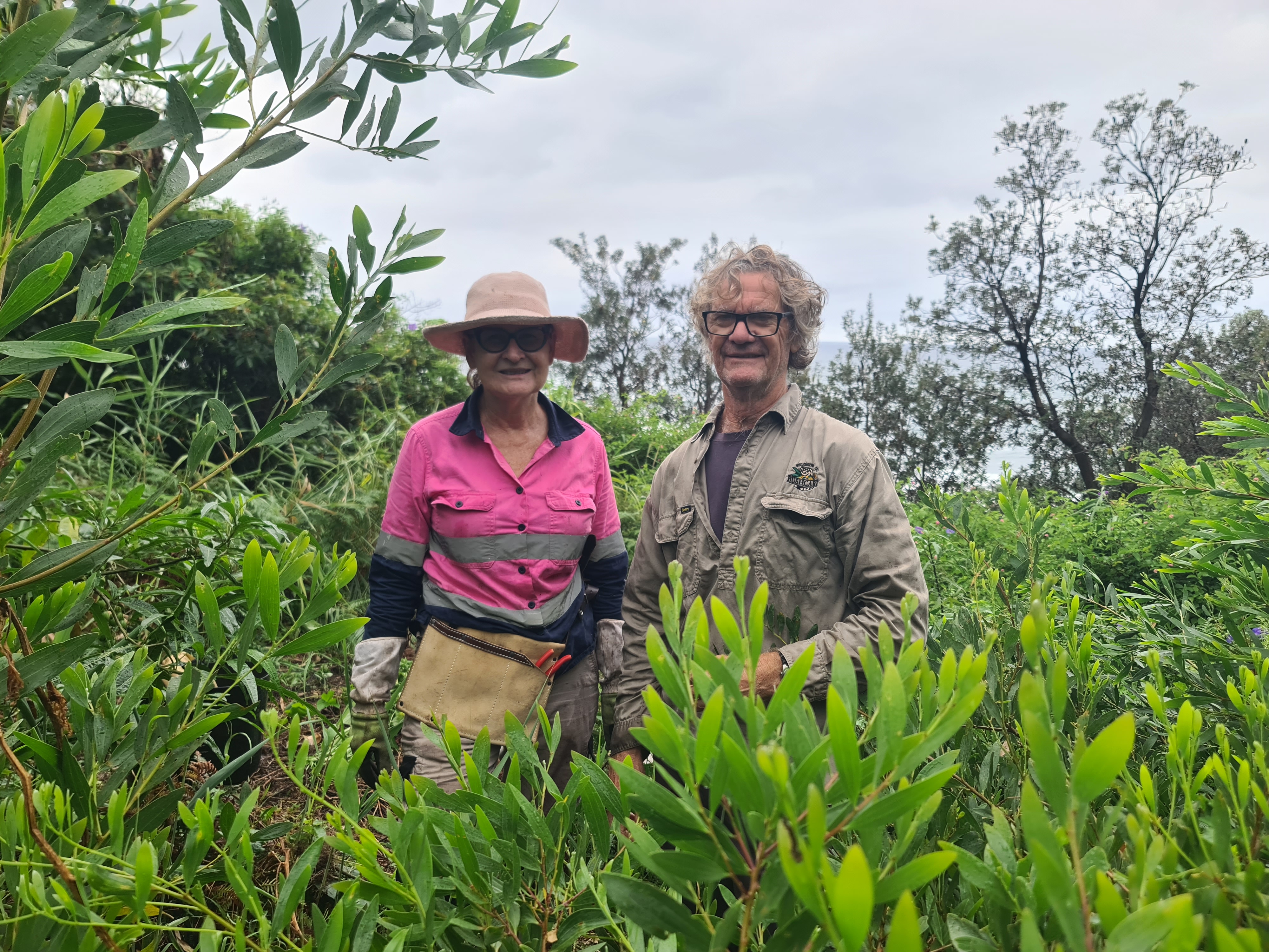 Restoring Sharkey's Beach through Bushcare
