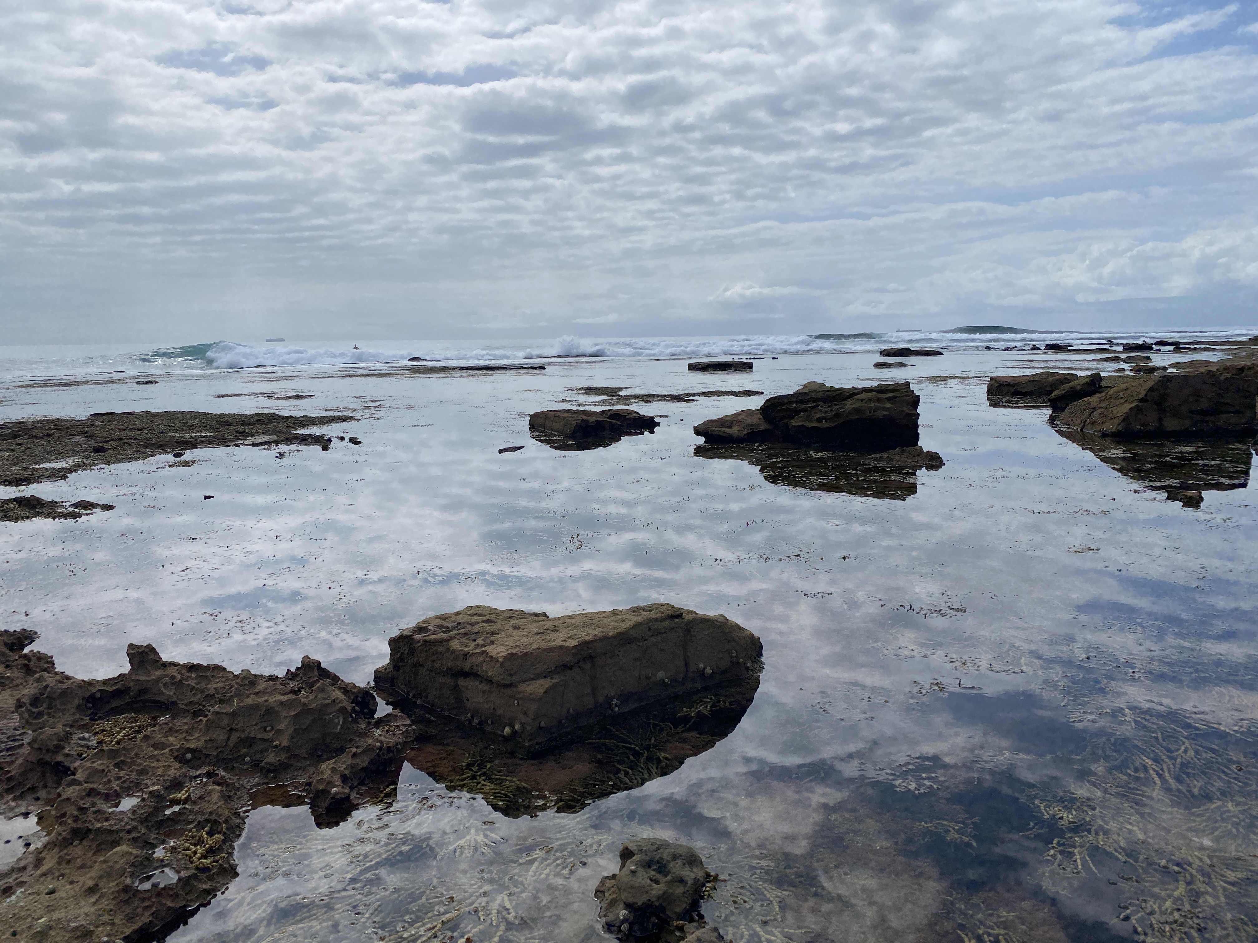 Hello, Wednesday readers