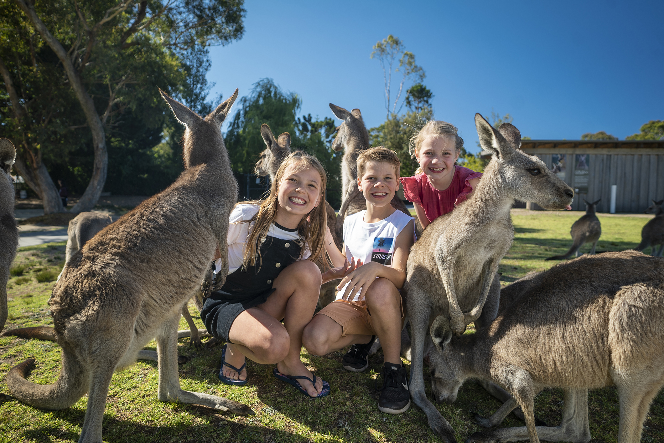 Hello, Monday readers