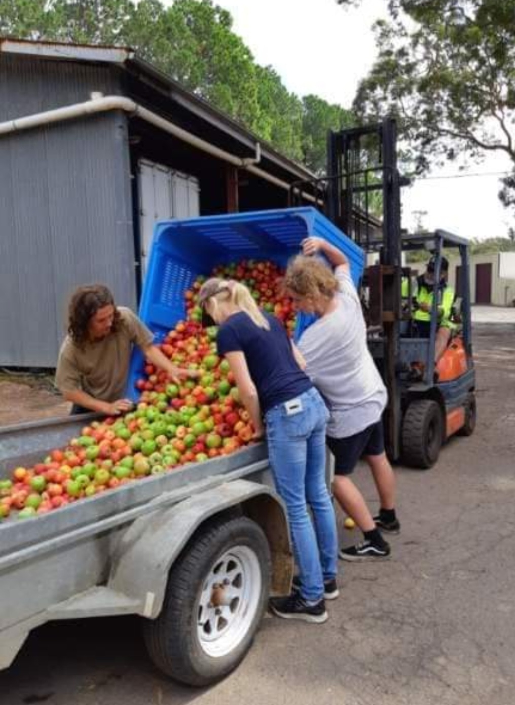 After the fires: Wildlife Stations Shoalhaven