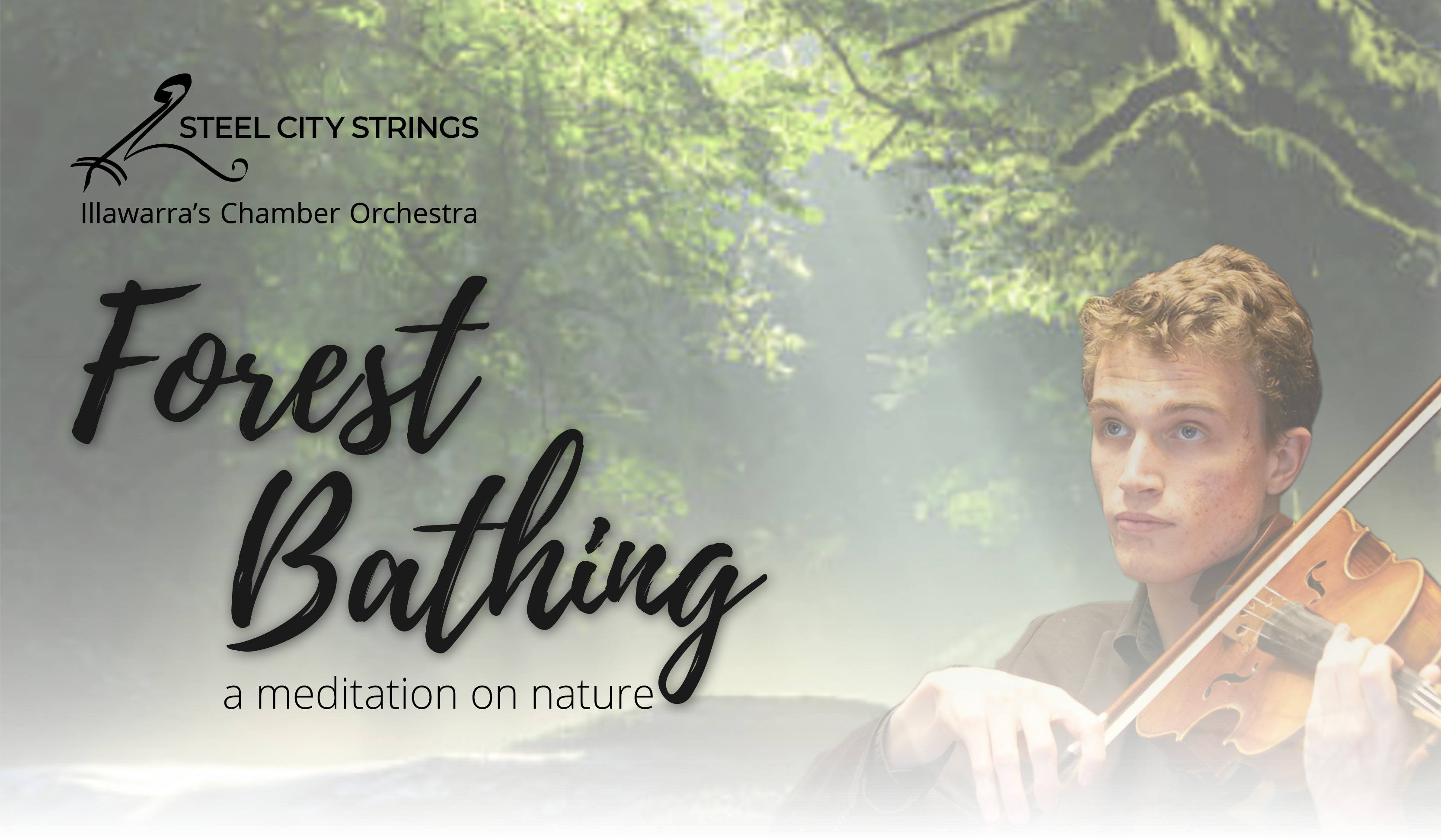 The Steel City Strings present 'Forest Bathing'