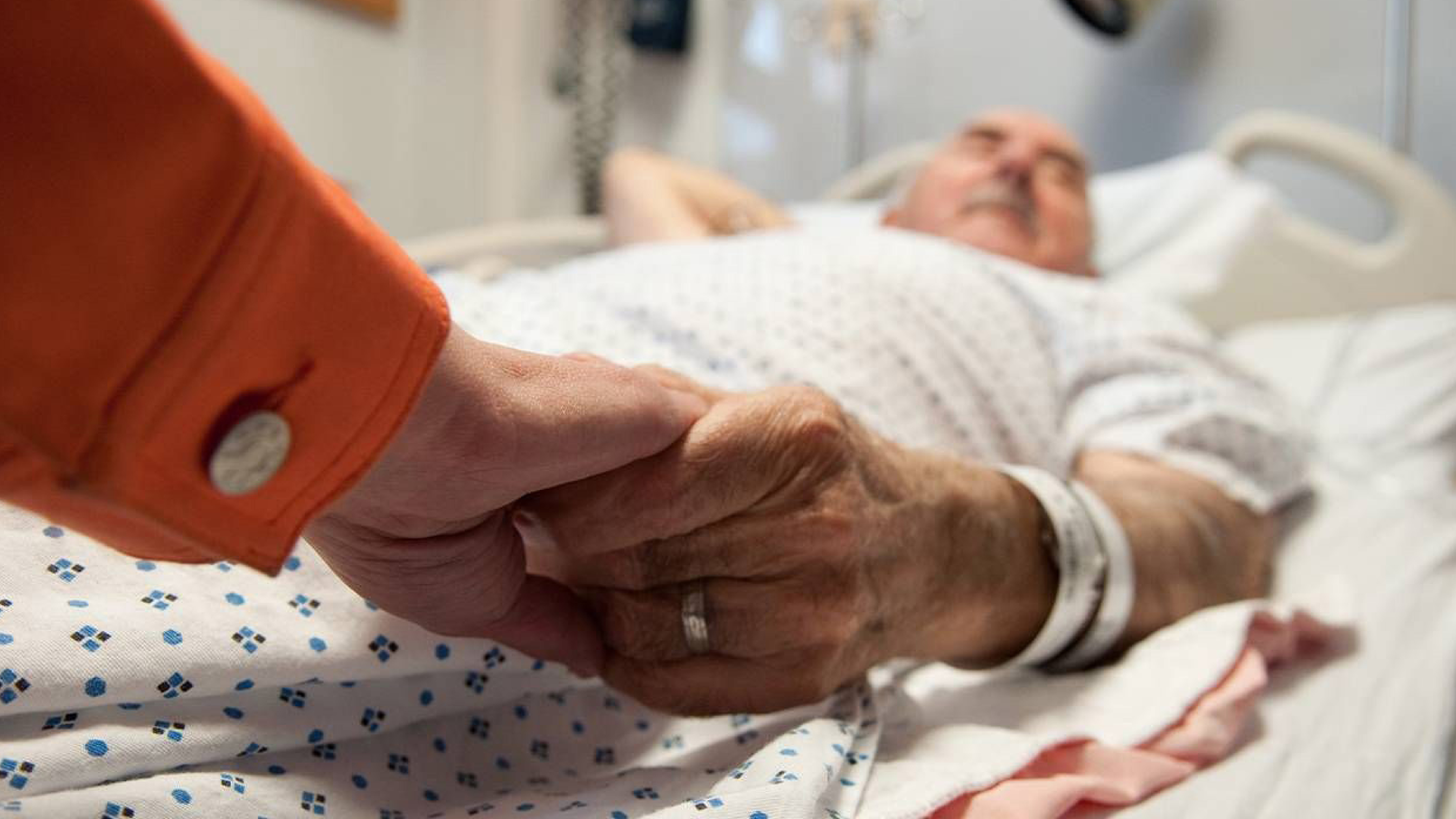 ‘The little peak that could’: How a local group is tackling the aged care crisis