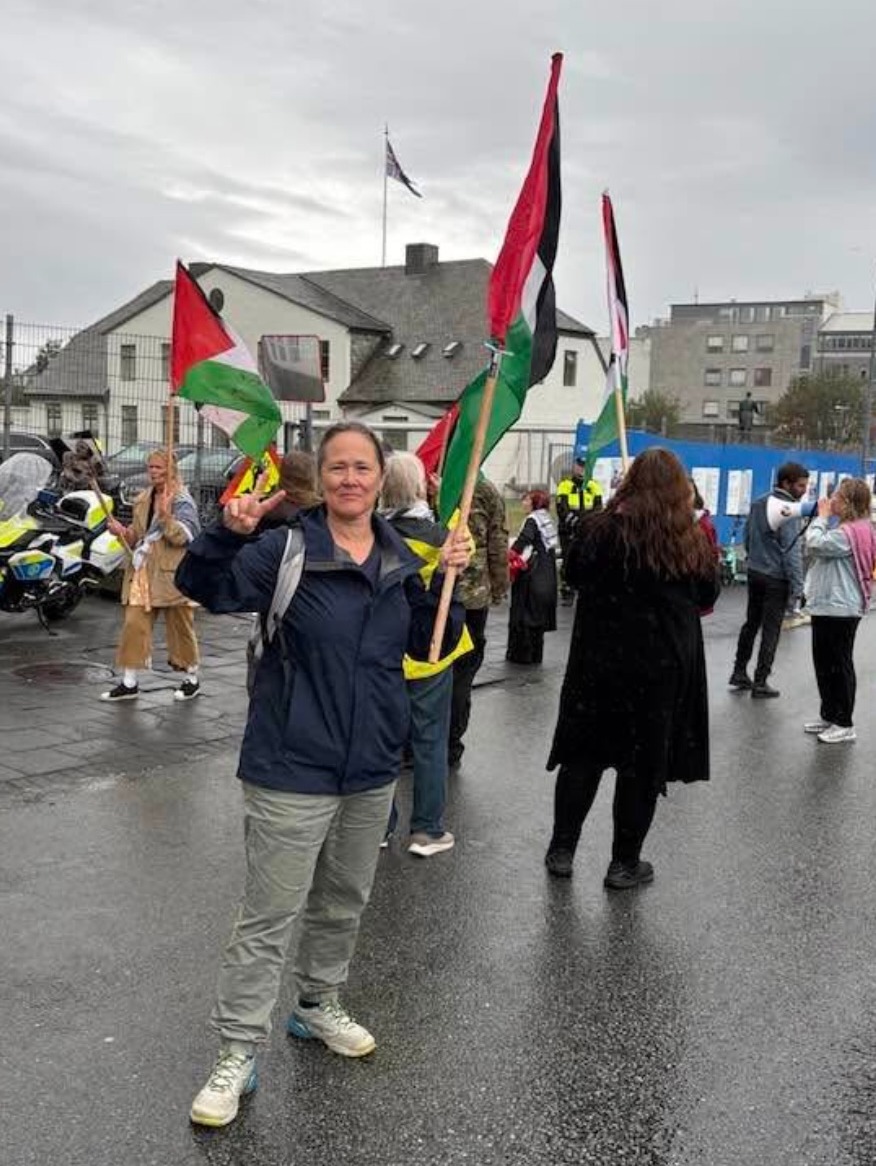 Should Wollongong officially fly the Palestinian flag?