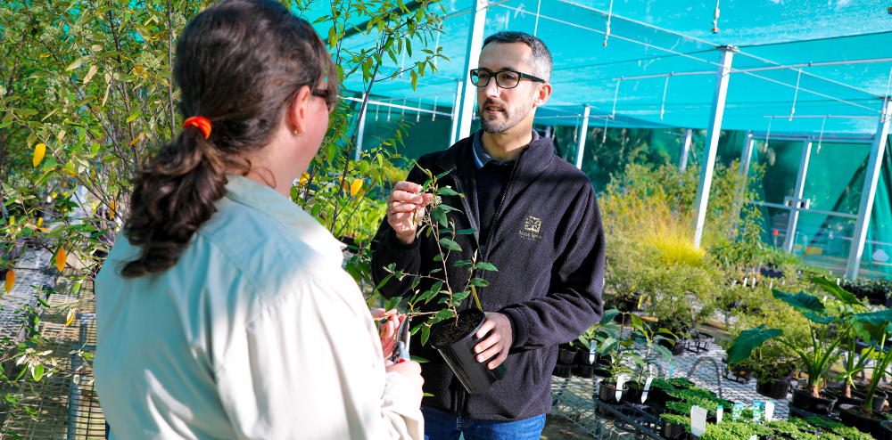 Here’s how you can plant your winter garden