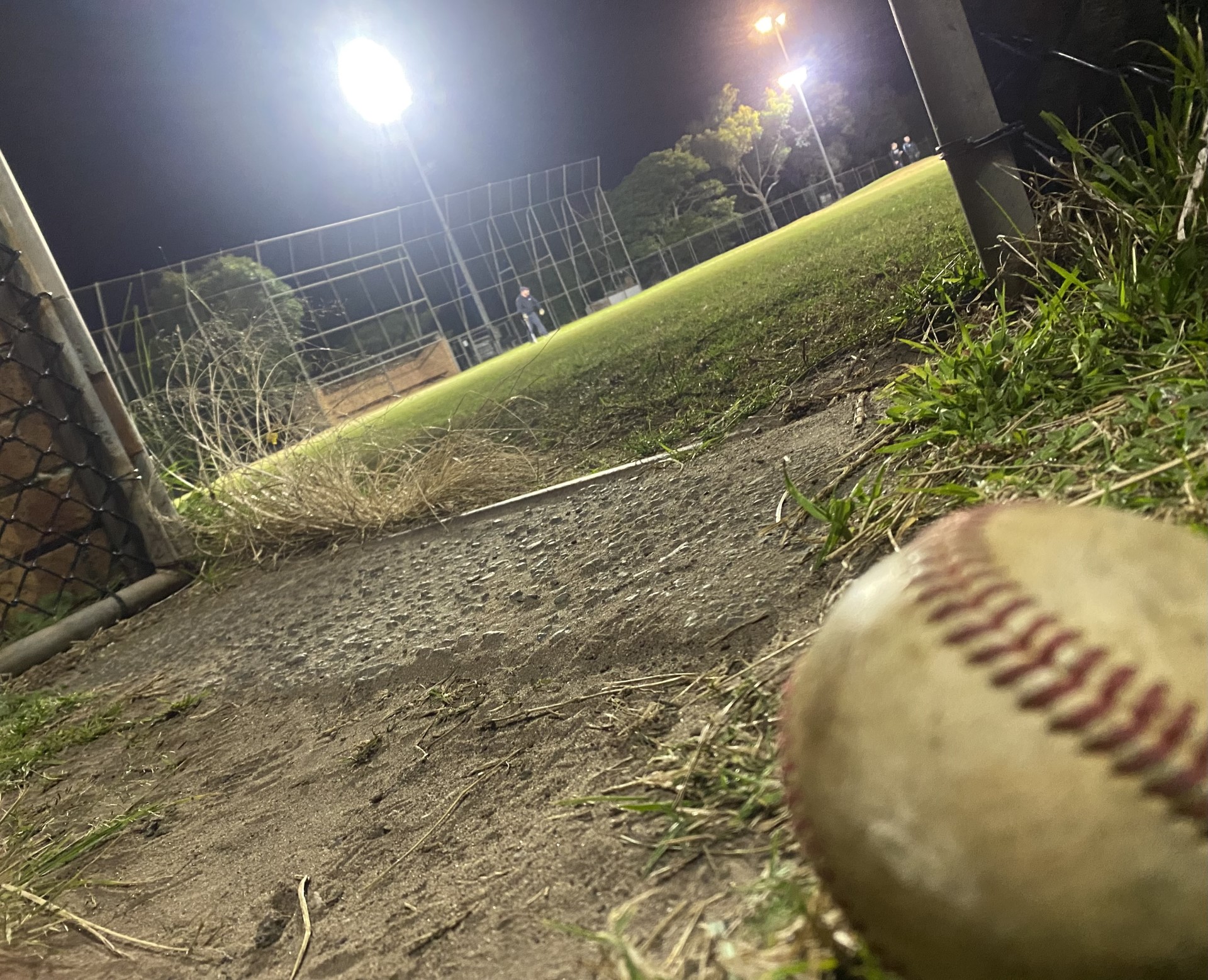 Baseball Illawarra pitches America's pastime to Wollongong locals  post image