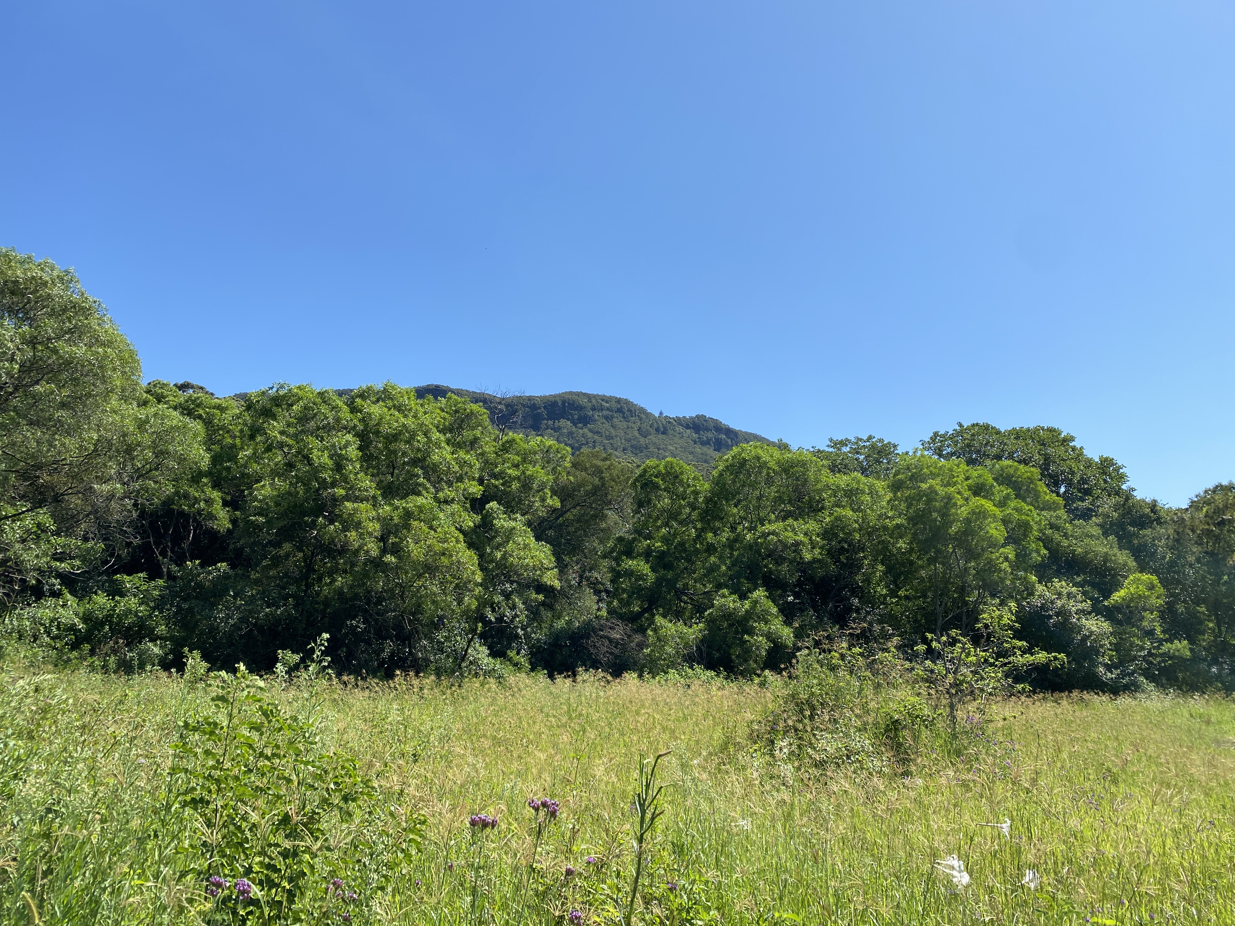 Hi there, Wednesday readers