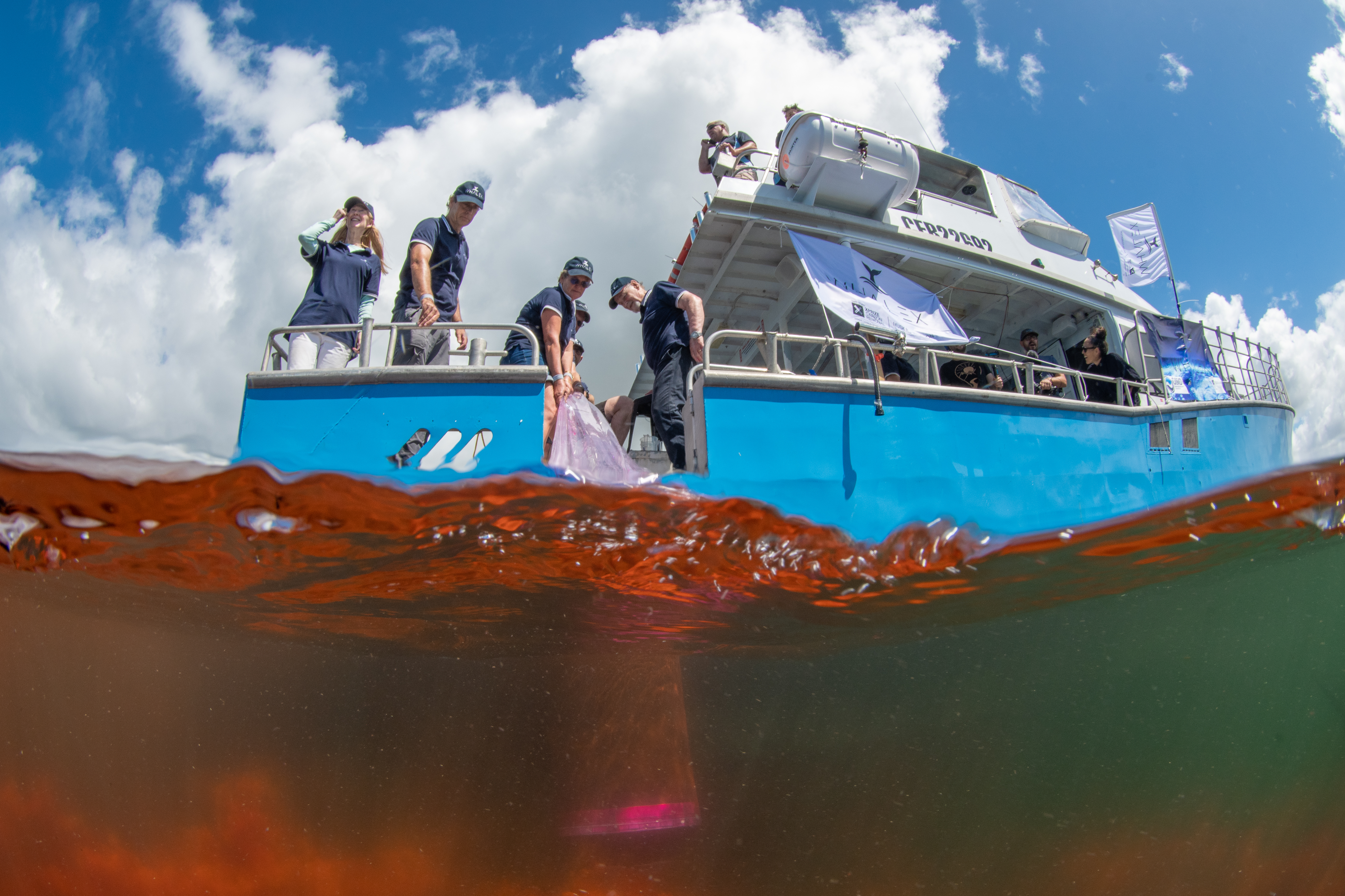 Thirroul filmmakers showcase the power of artificial whale poo