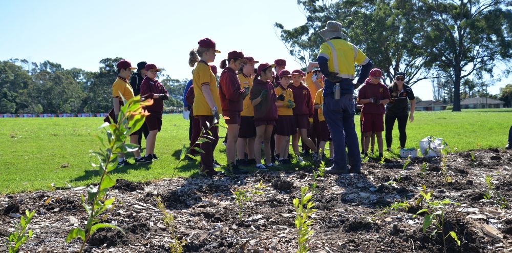 Help green Wollongong with words