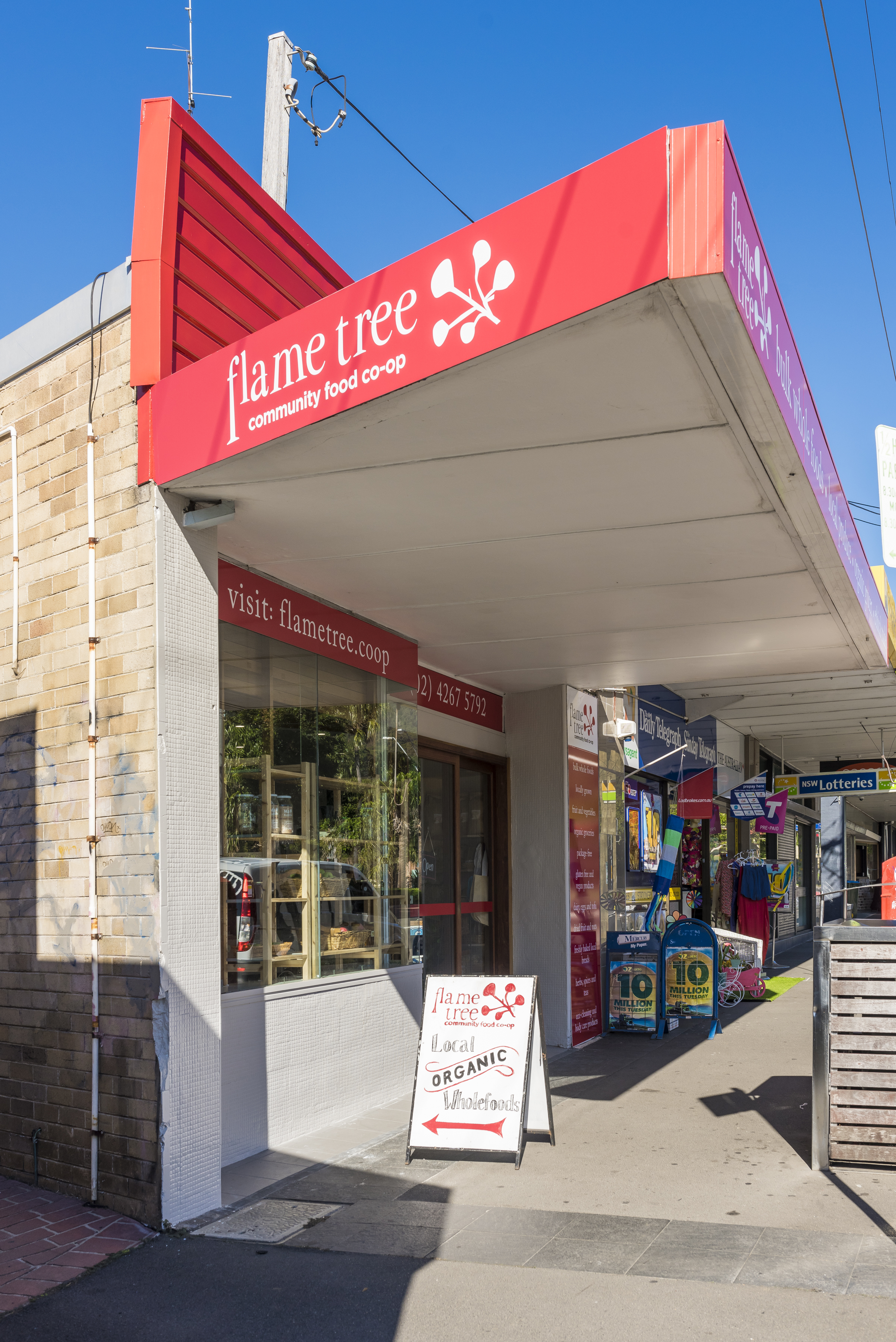 Growing Flame Tree  post image