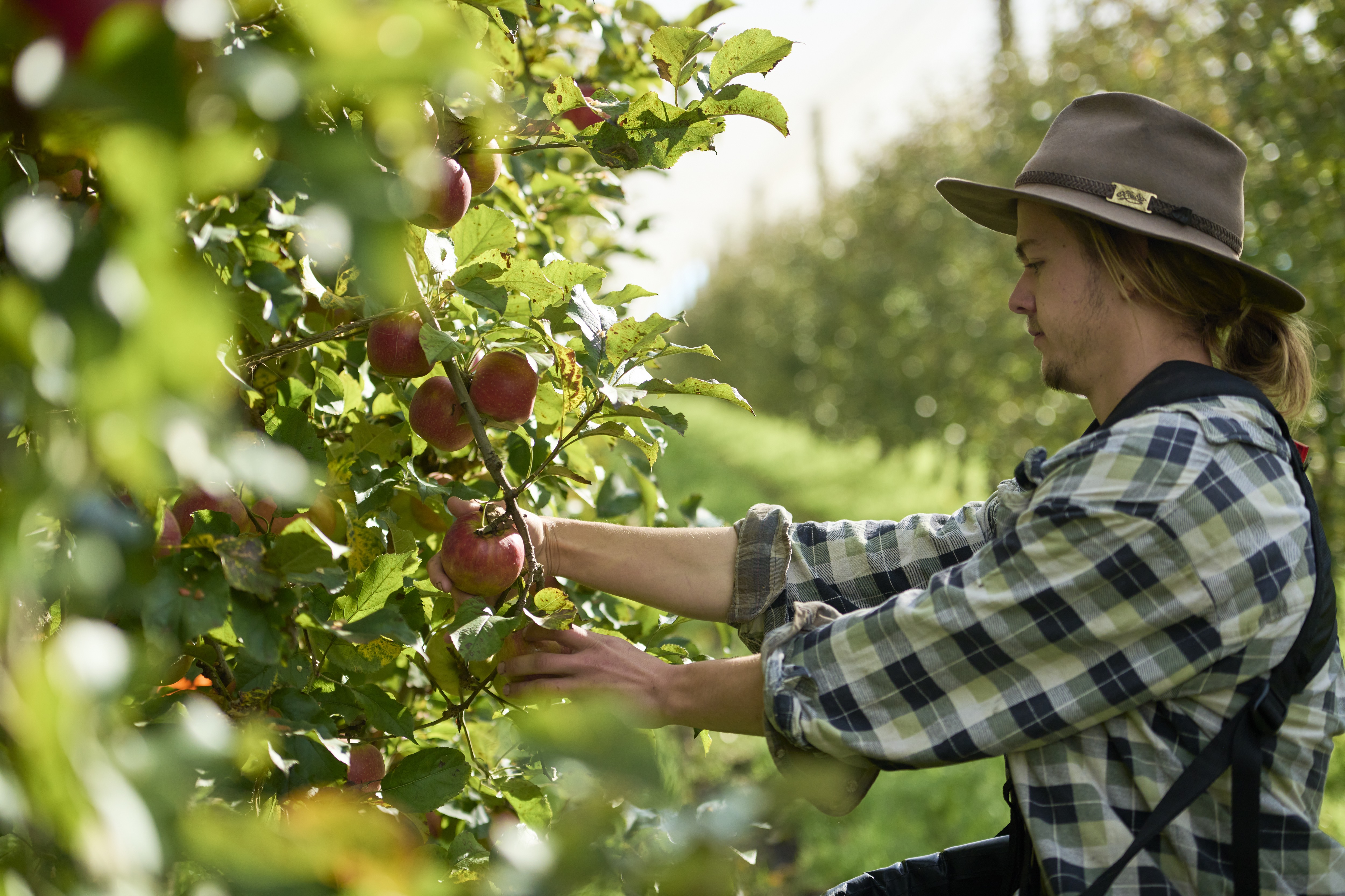Visit Glenbernie Orchard, home of Darkes Cider