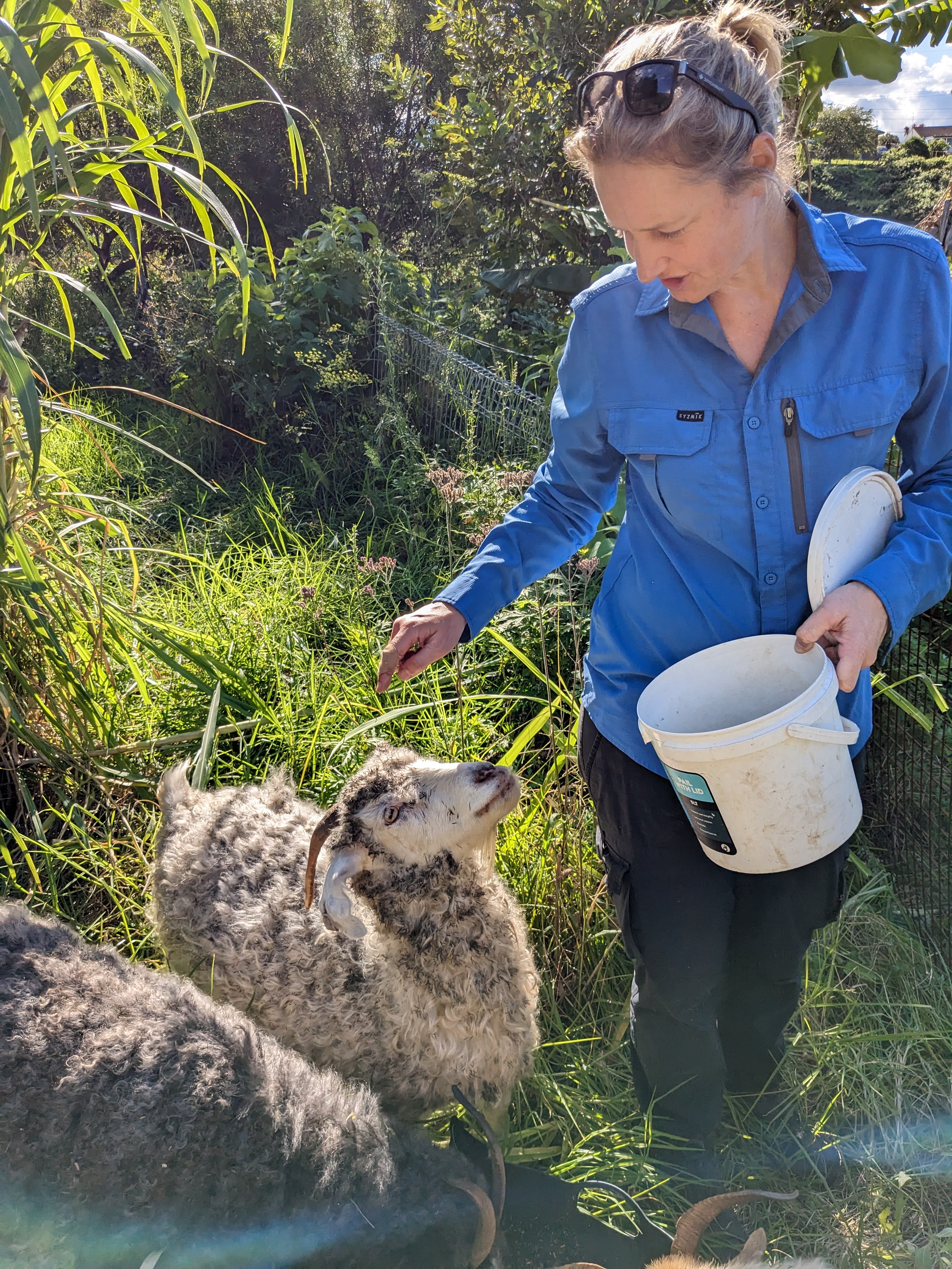 Short bites: farm awards, food tours & the edible garden trail  post image