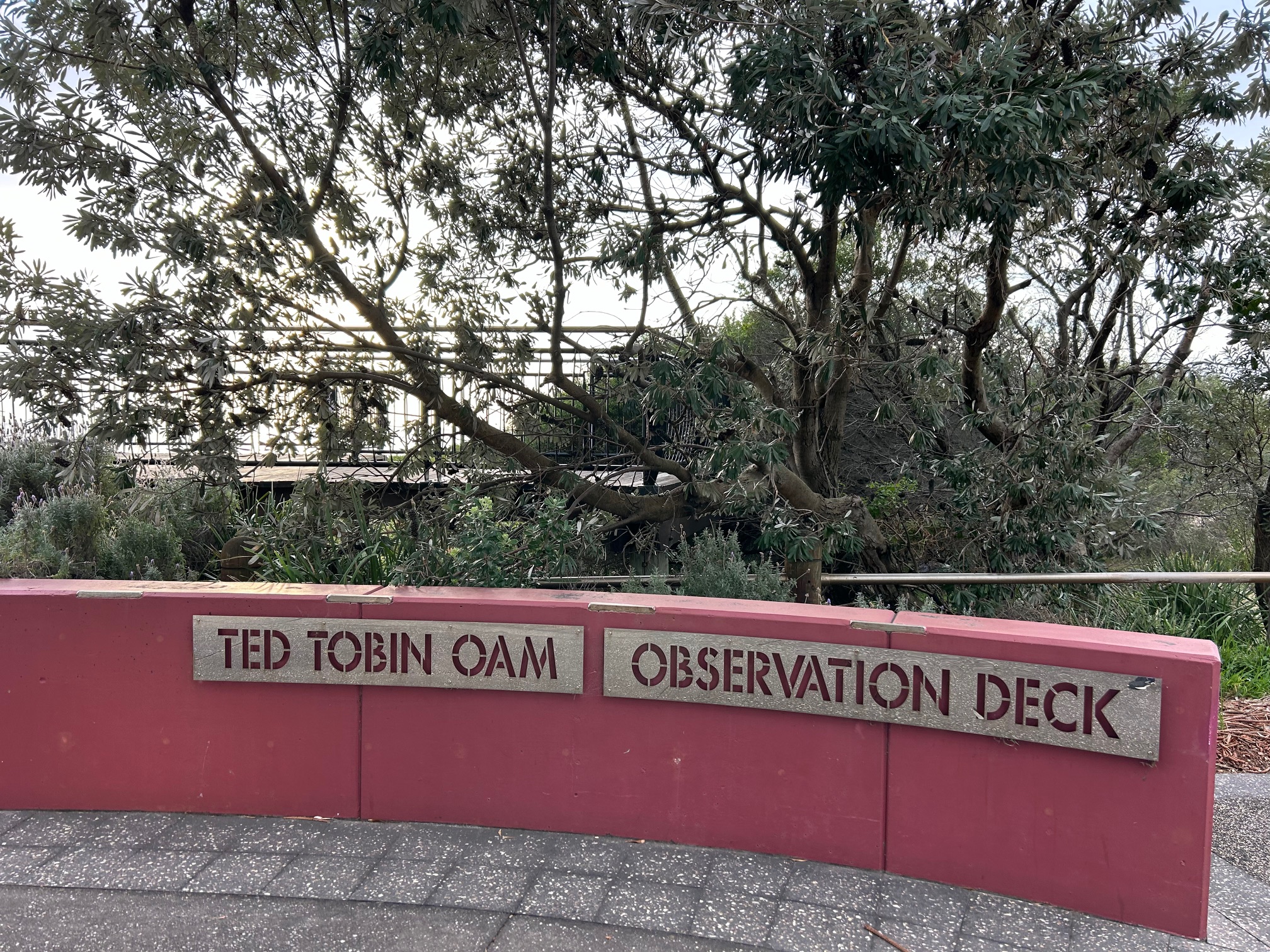 What would Ted think? His memory and sporting groups deserve much better treatment by our Council