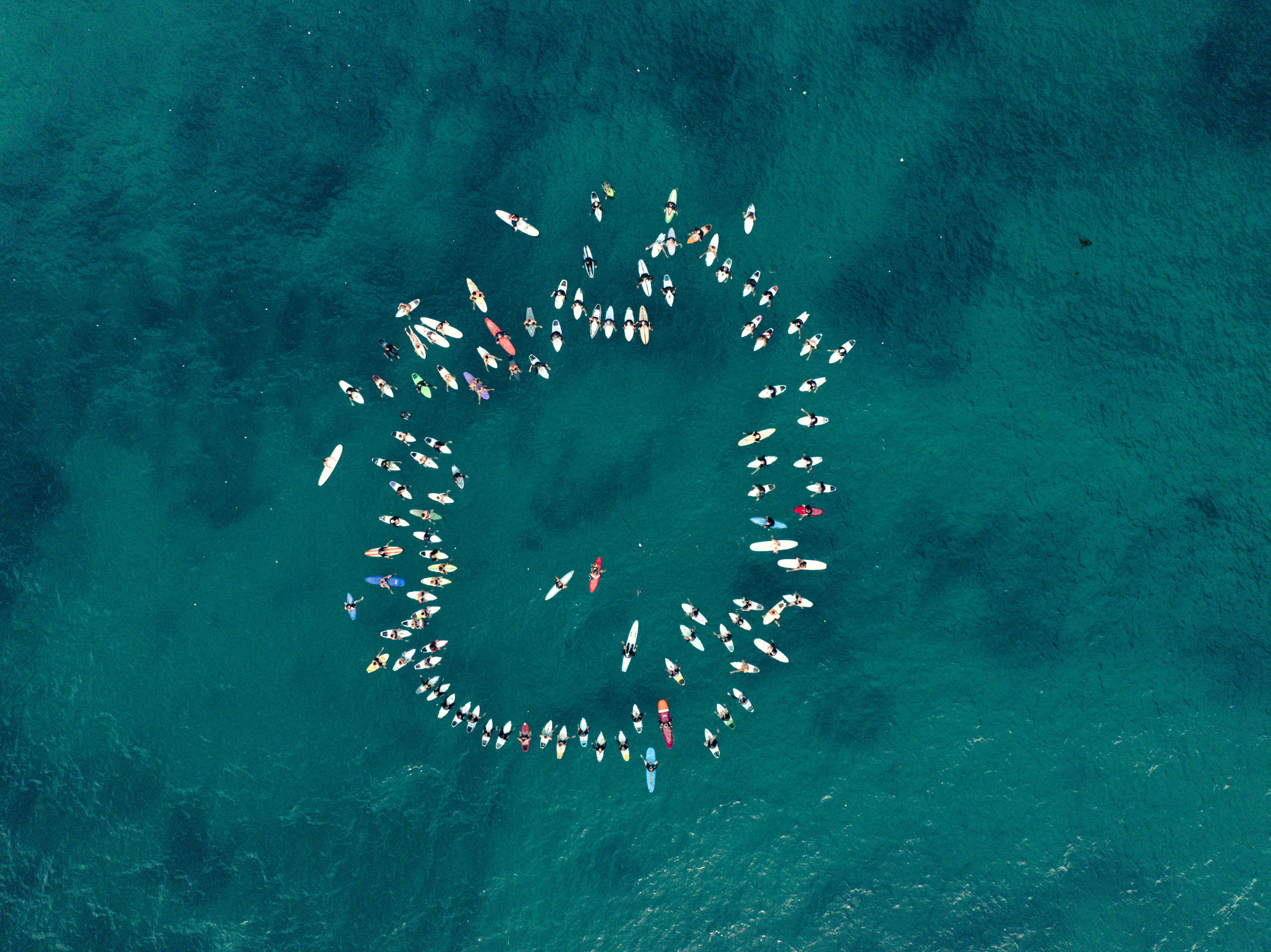 ‘We will miss you dearly’: Over 100 surfers joined paddle out  post image