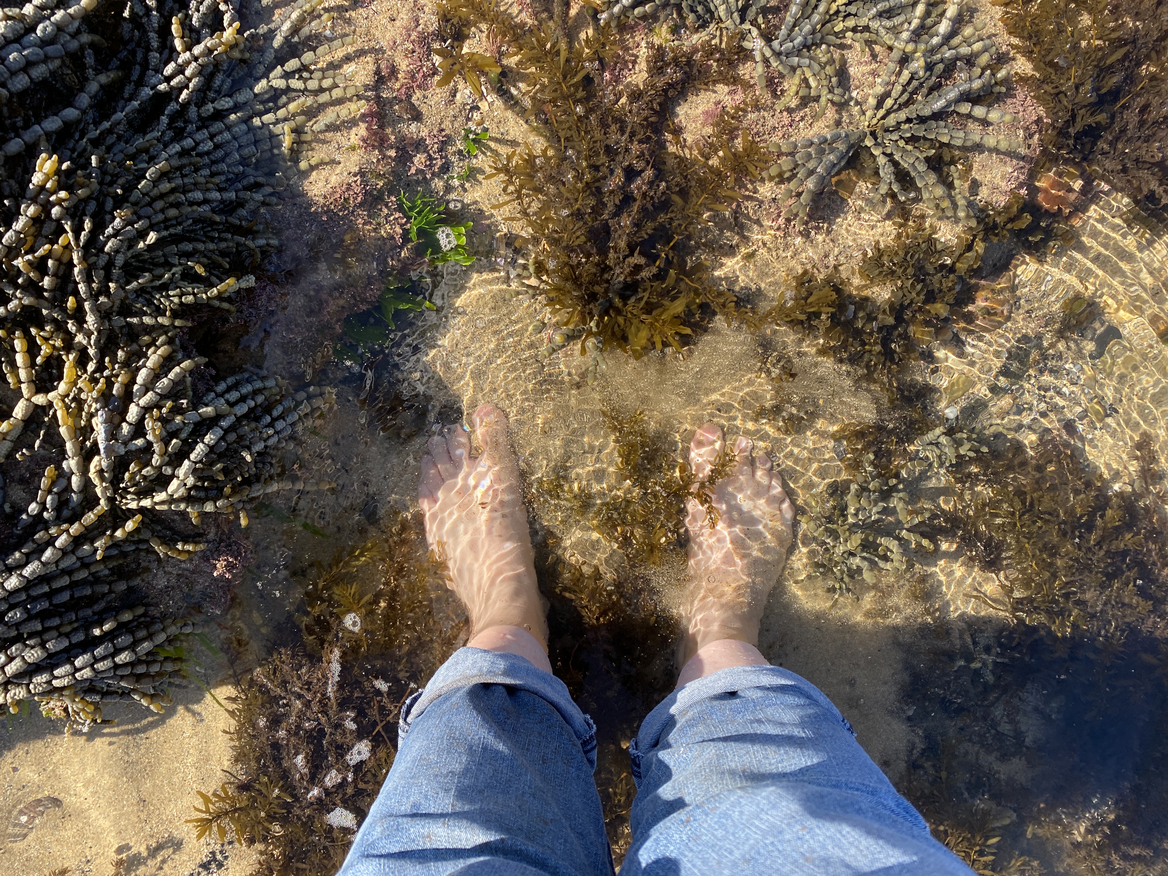 Welcome to another Wednesday edition