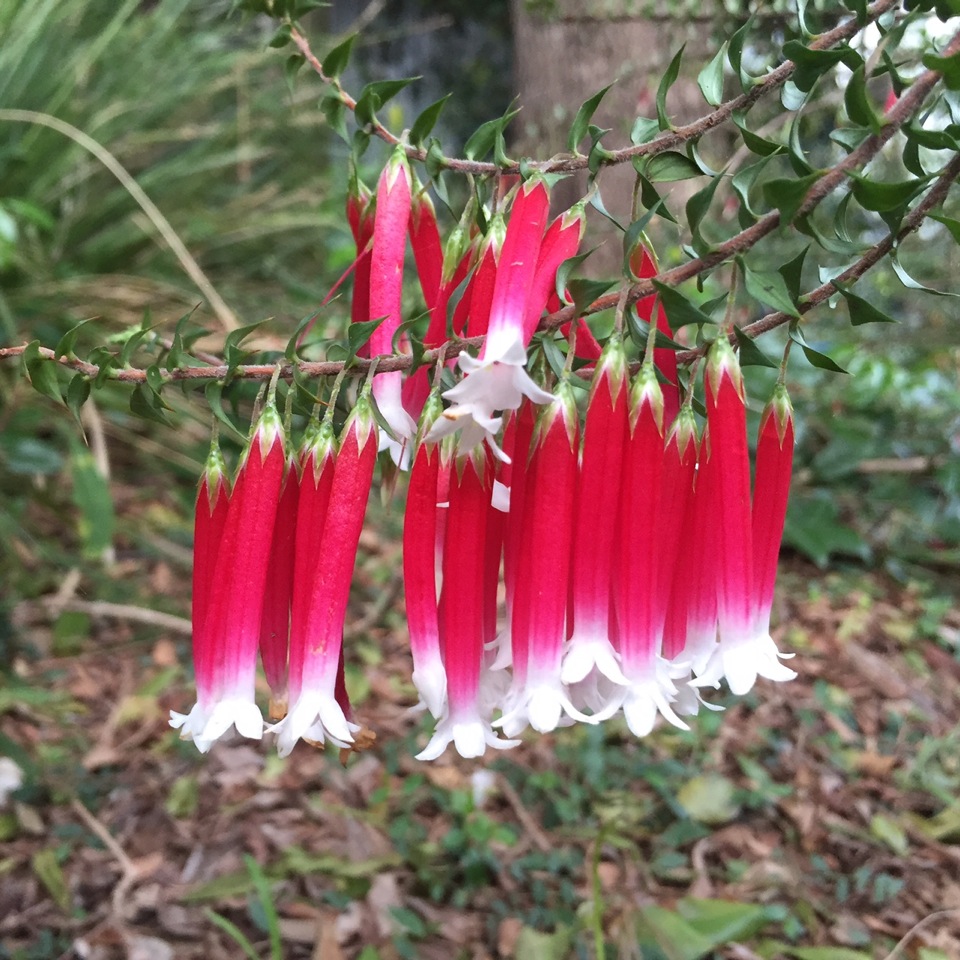 Take a trip with NINA  post image