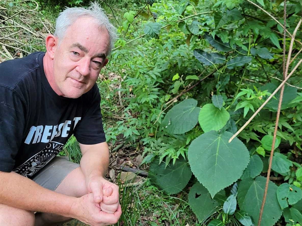 Why didn’t anyone tell me about stinging trees?  post image