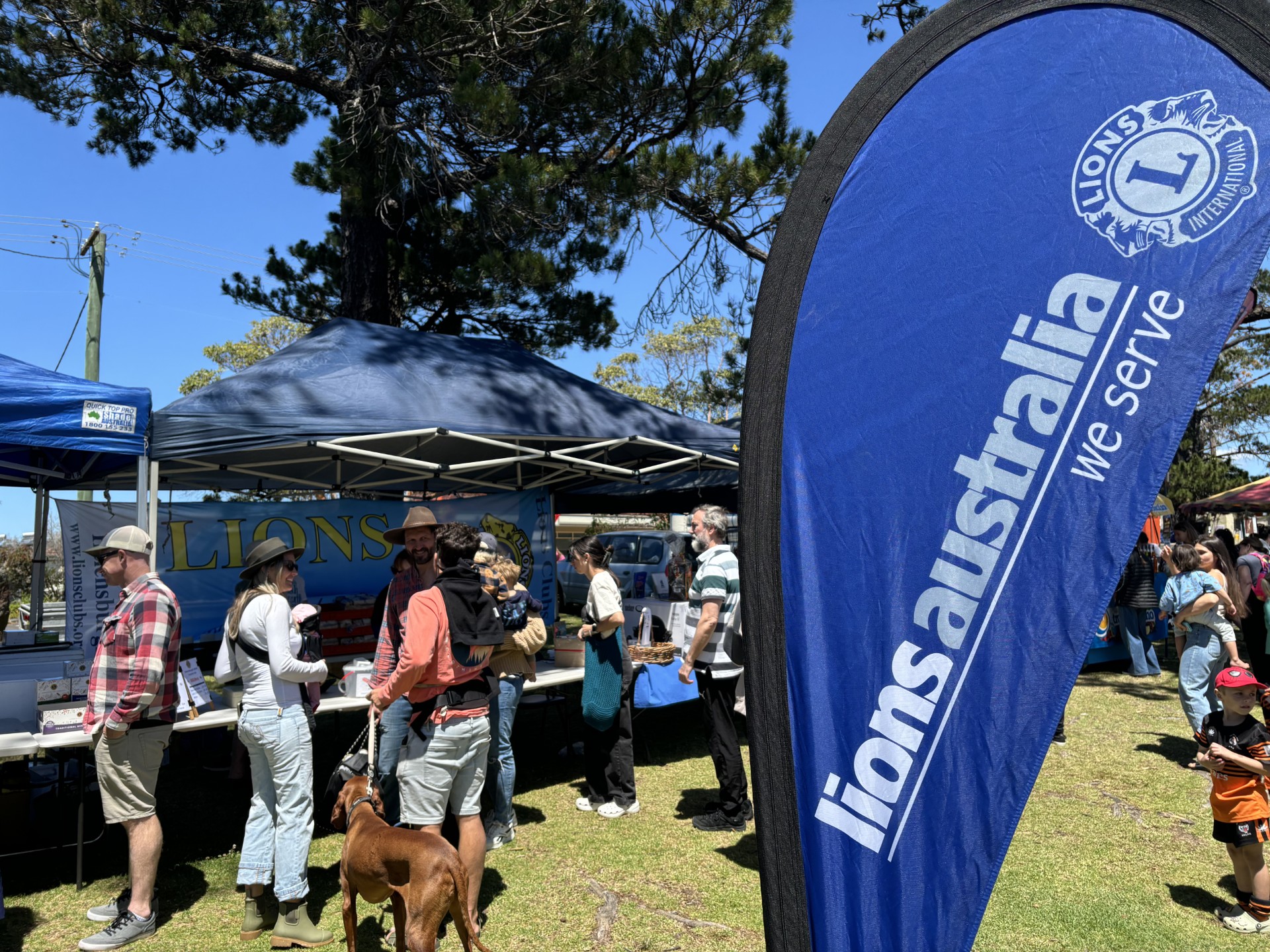 Tech savvy? Helensburgh Lions need your help with their website
