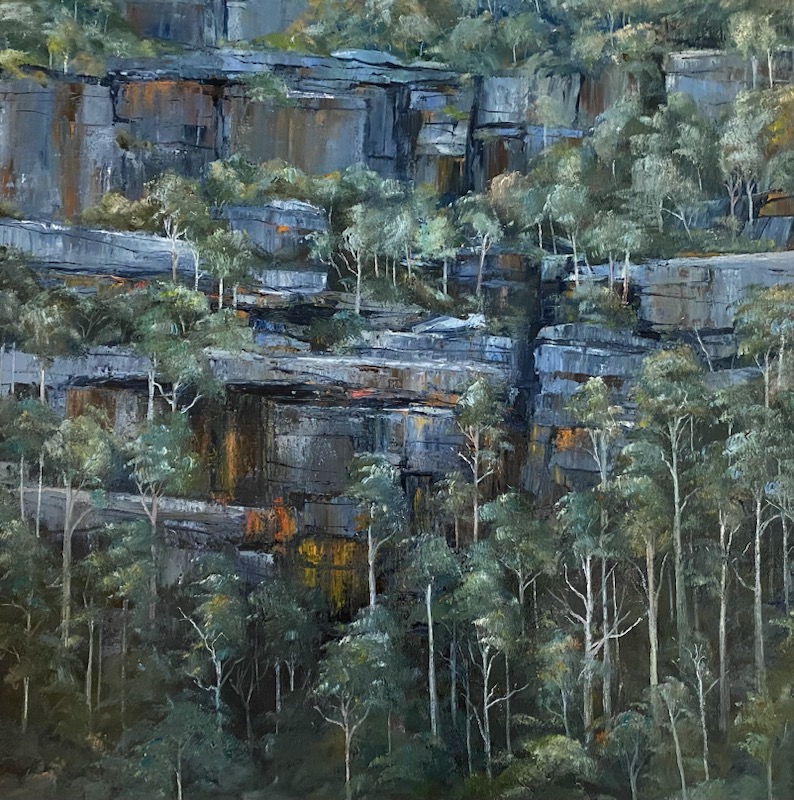 Meet an Artist of the Illawarra: David Manks  post image