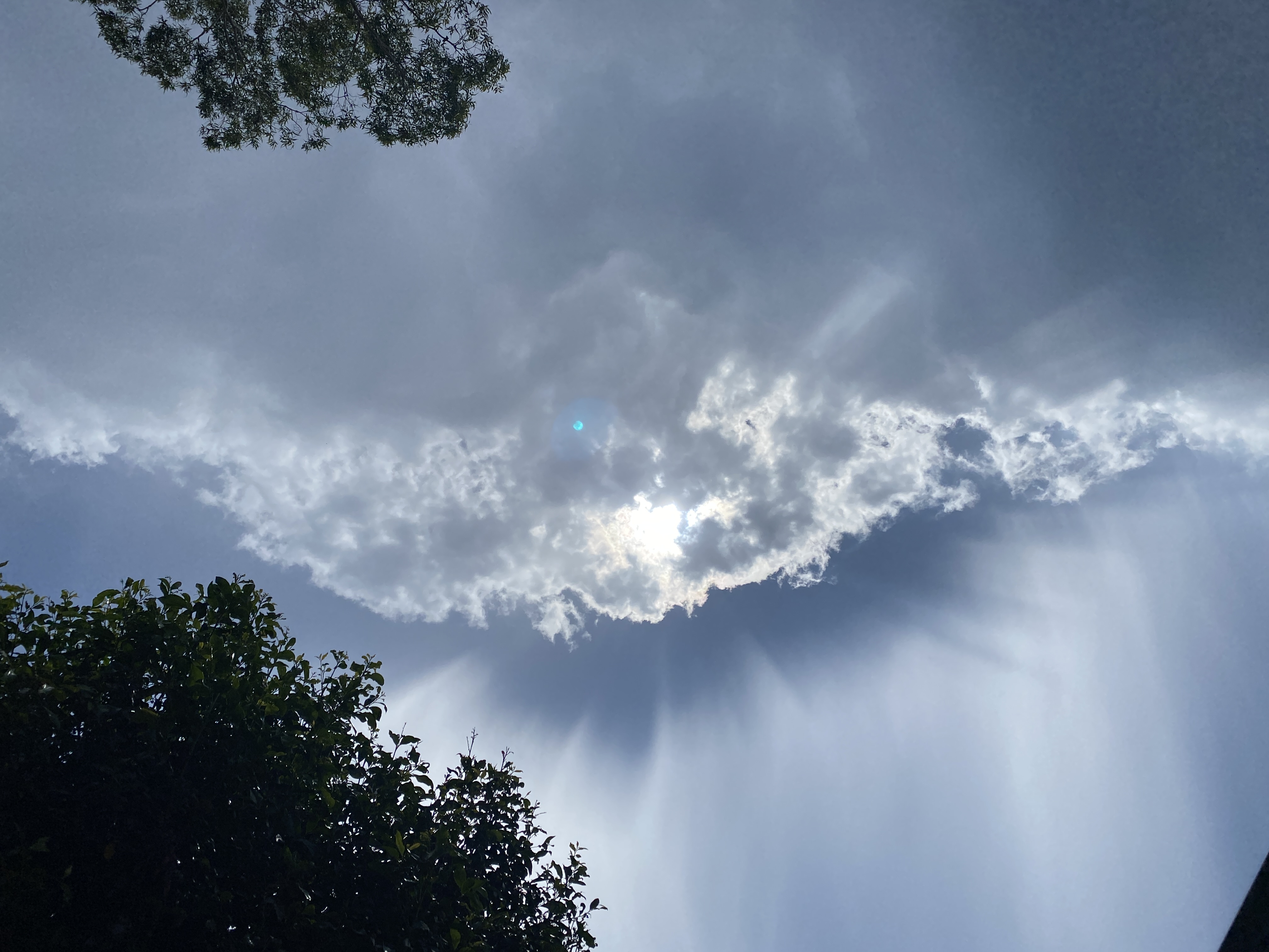 Hello to another Wild Wednesday