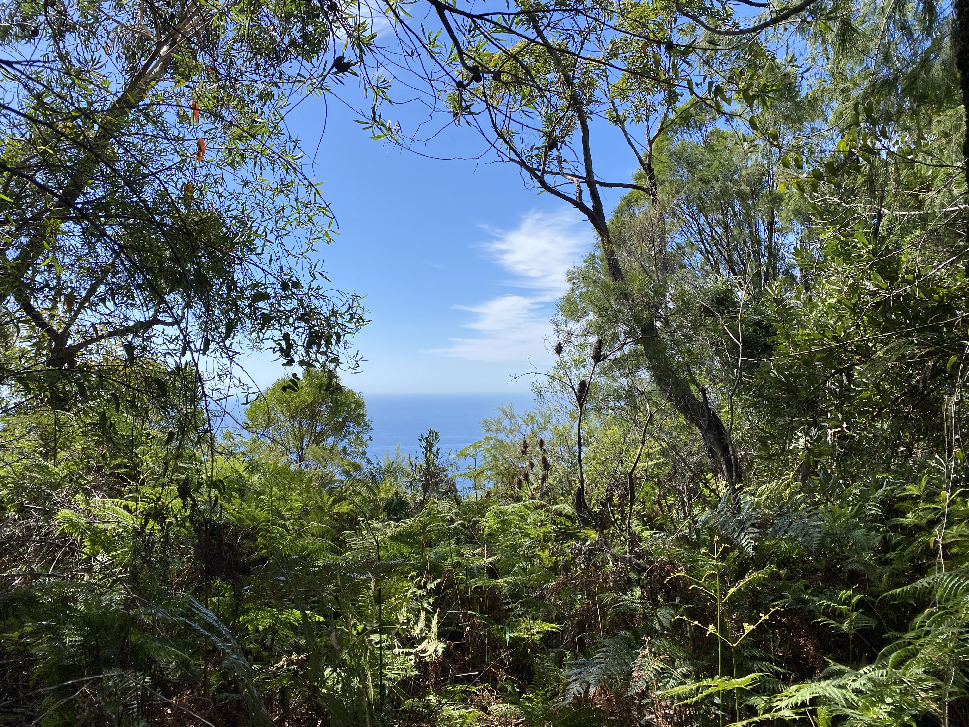 Cheers to another Wednesday