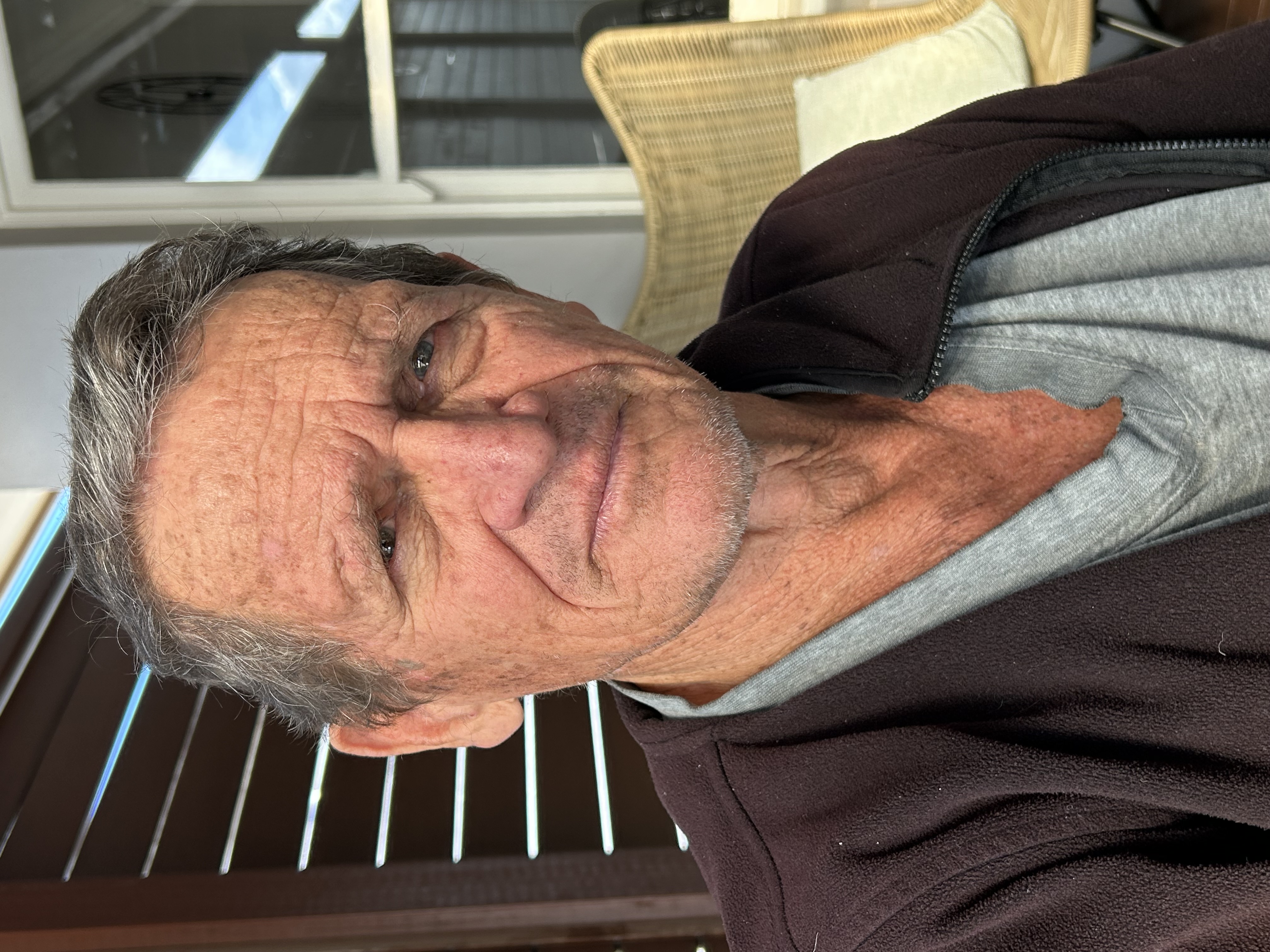 Albert's View on the Voice