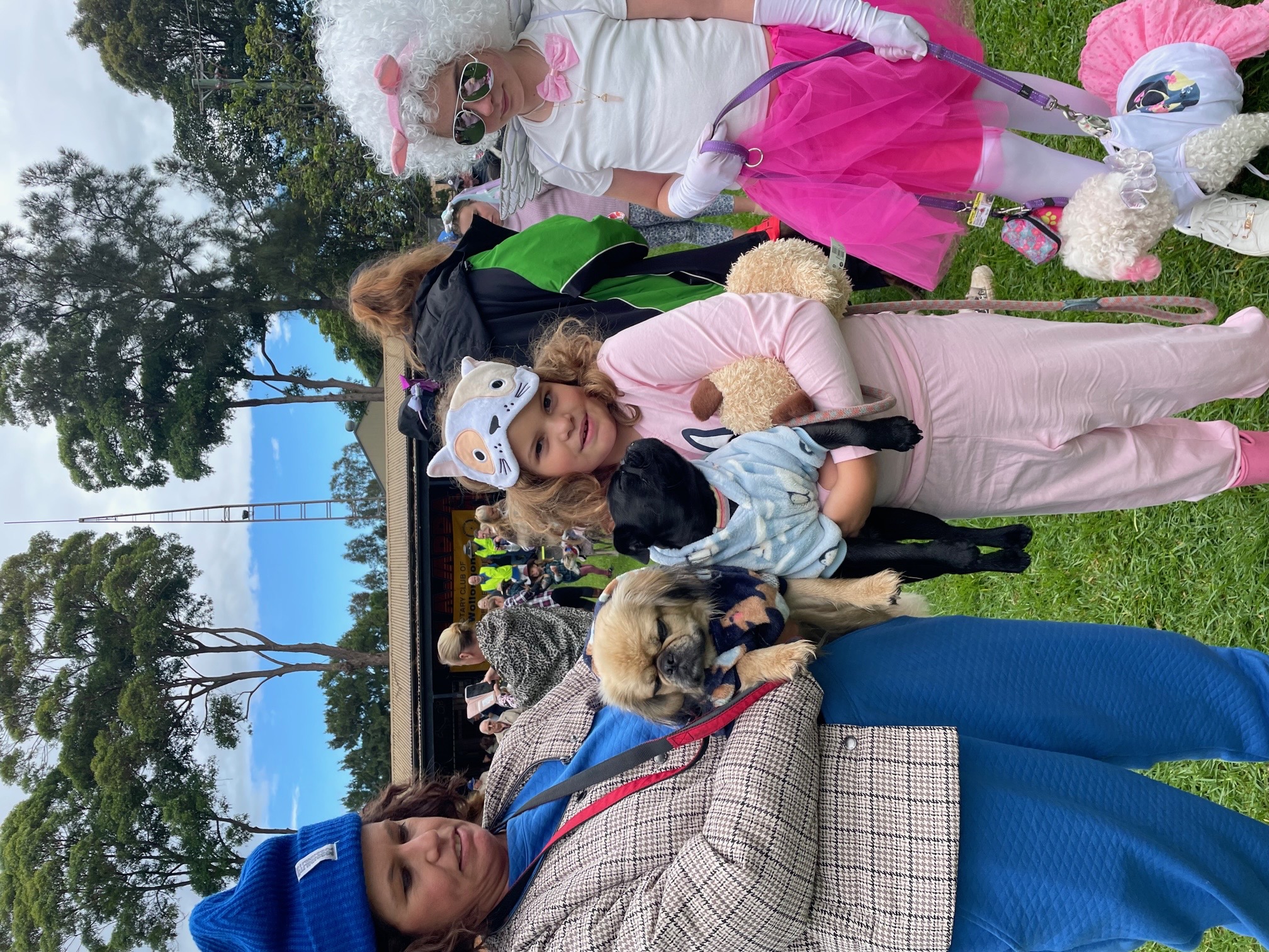 Second Paws4aCause set to get tails wagging in Wollongong