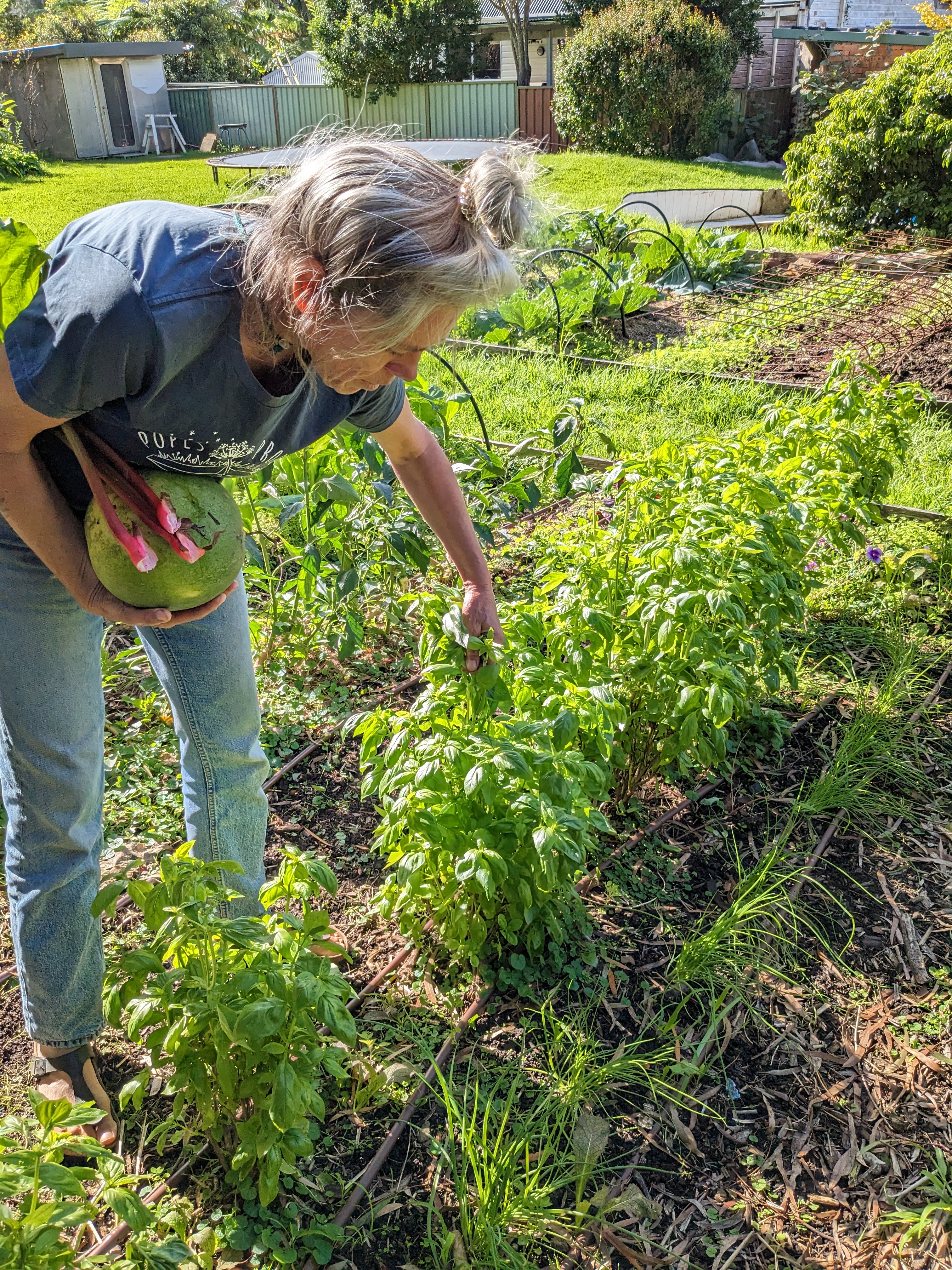 Local food warrior Sarah Anderson plans for spring at Popes Produce market garden  post image