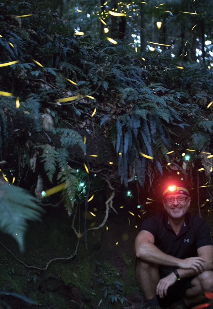 Nature Notes: Time is running out to spot fireflies  post image