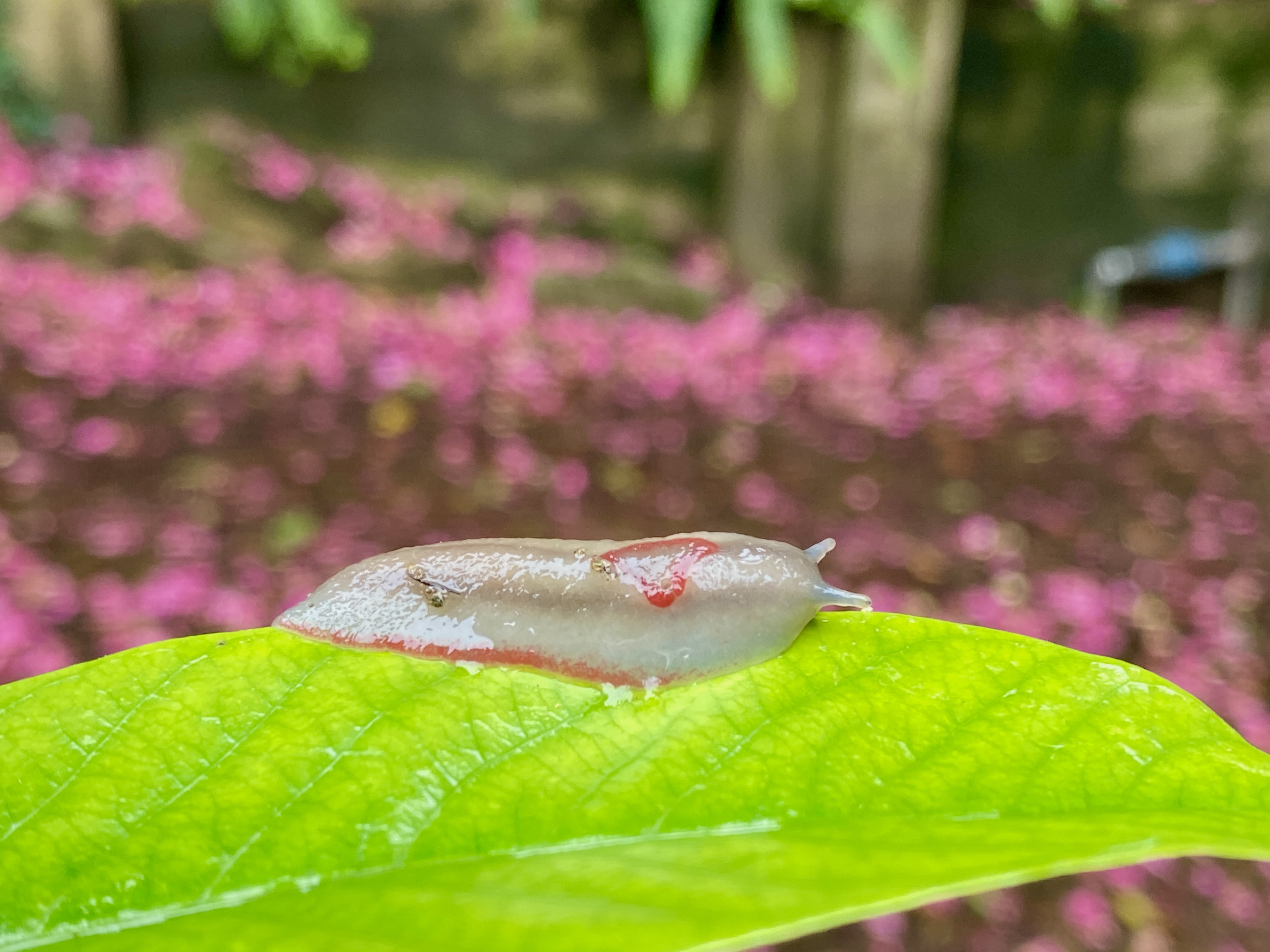 Why you should always clean up and other stories I tell myself