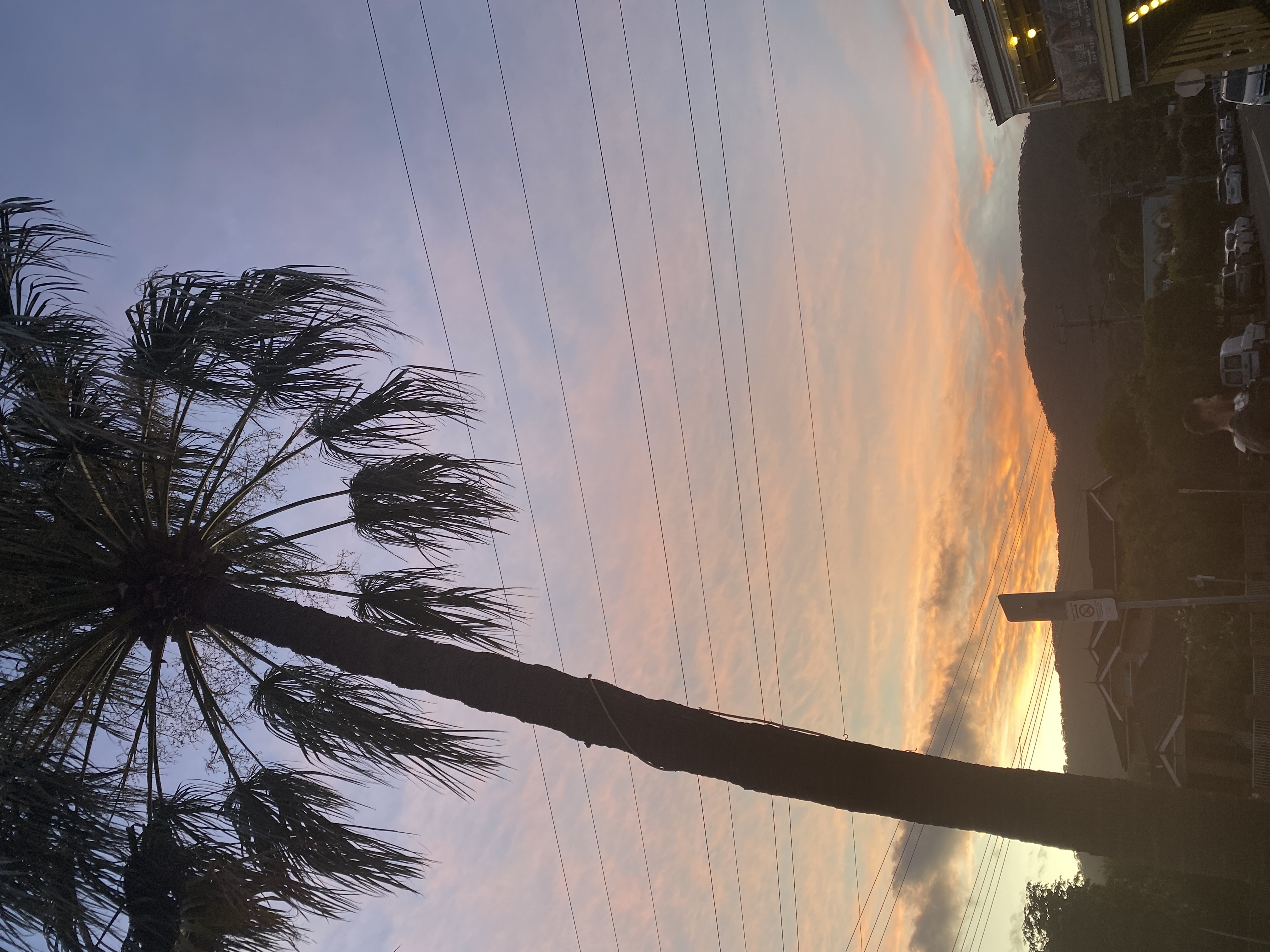 Hello, Wednesday readers