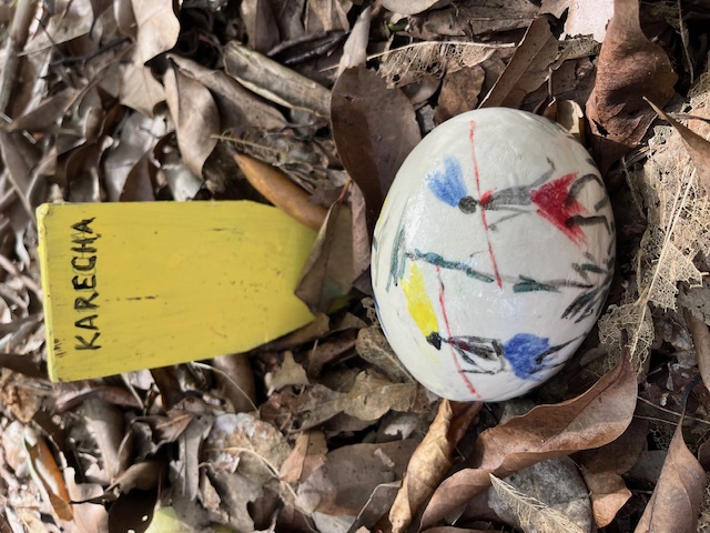 Banksia Bushcare solves African art mystery with AI  post image