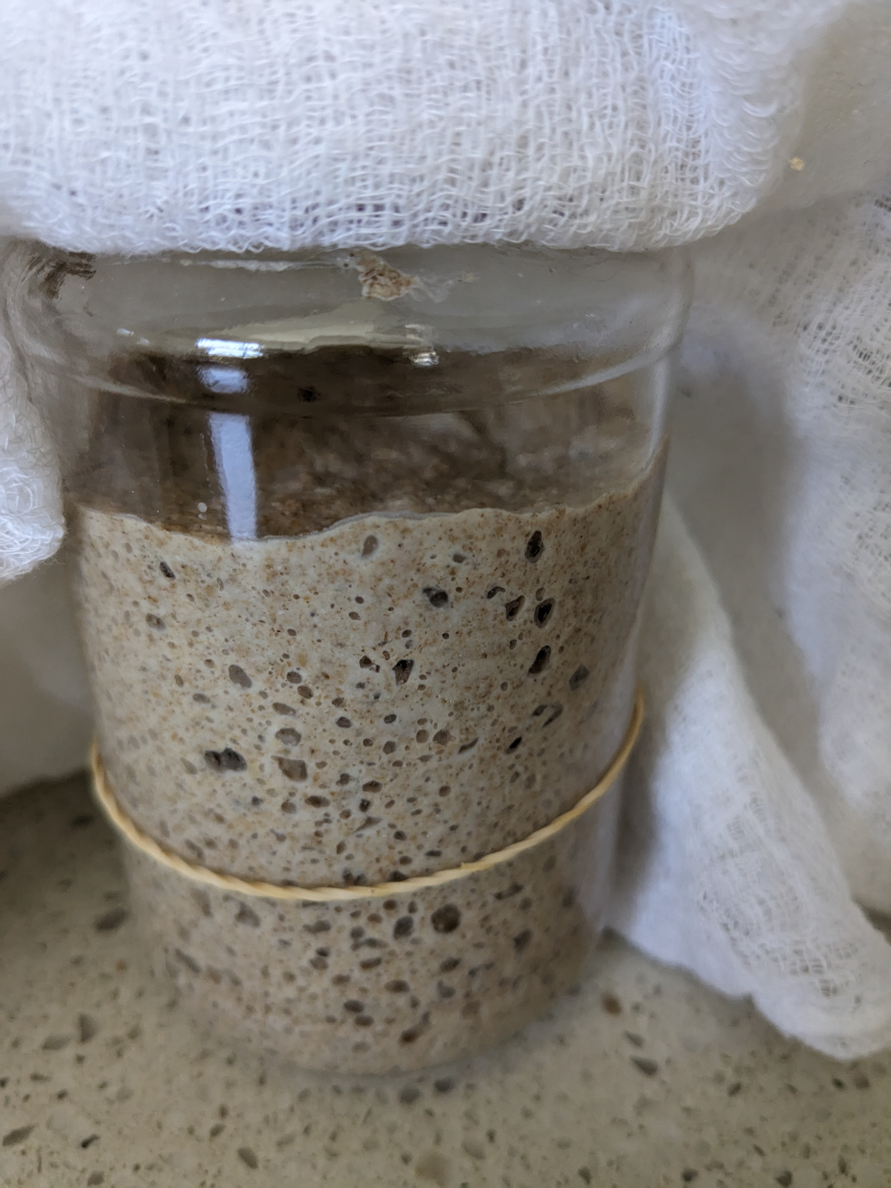 Food waste fix: Make your own Sourdough Starter Pancakes  post image