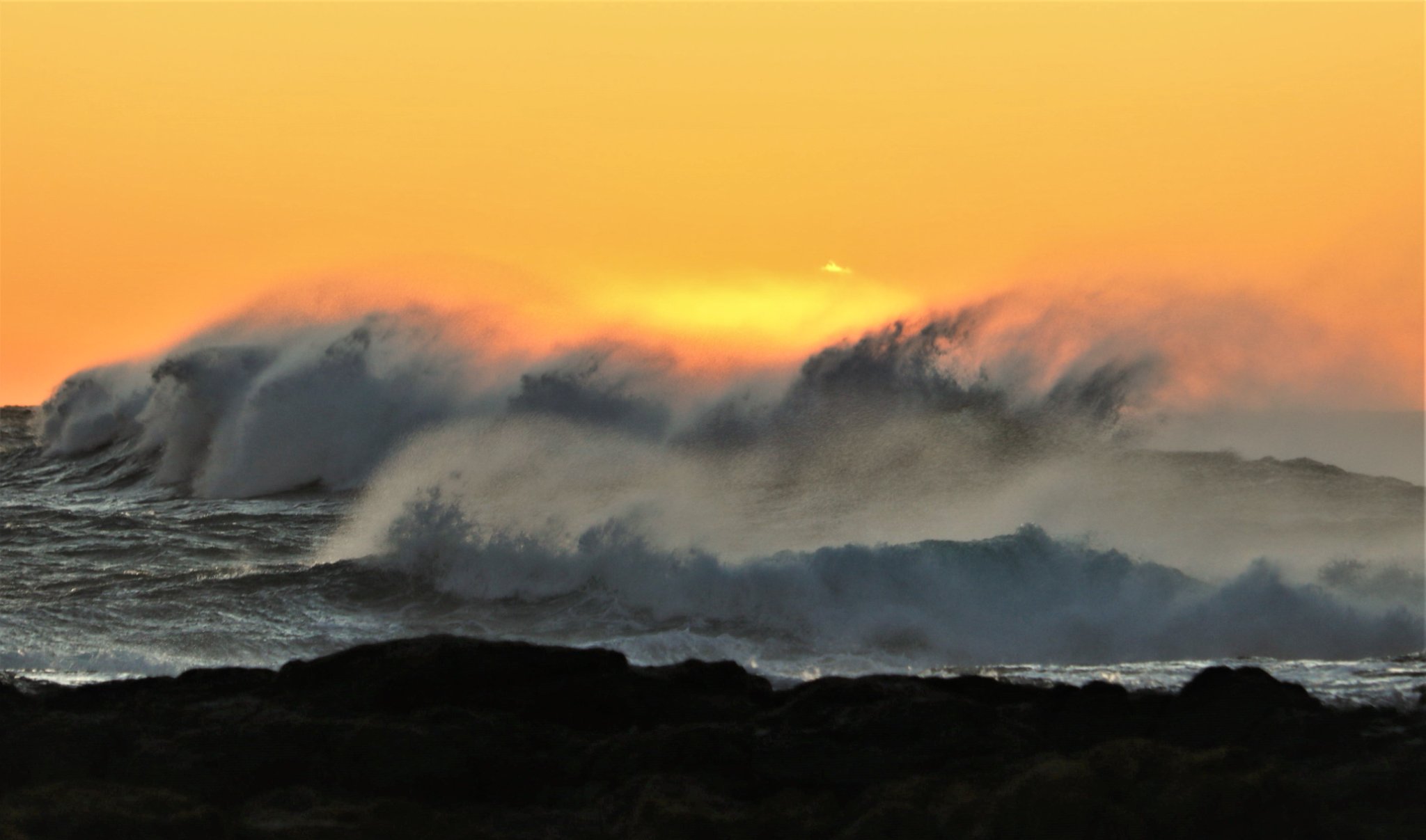 Nature Notes: from sunrise on steroids to shark talk