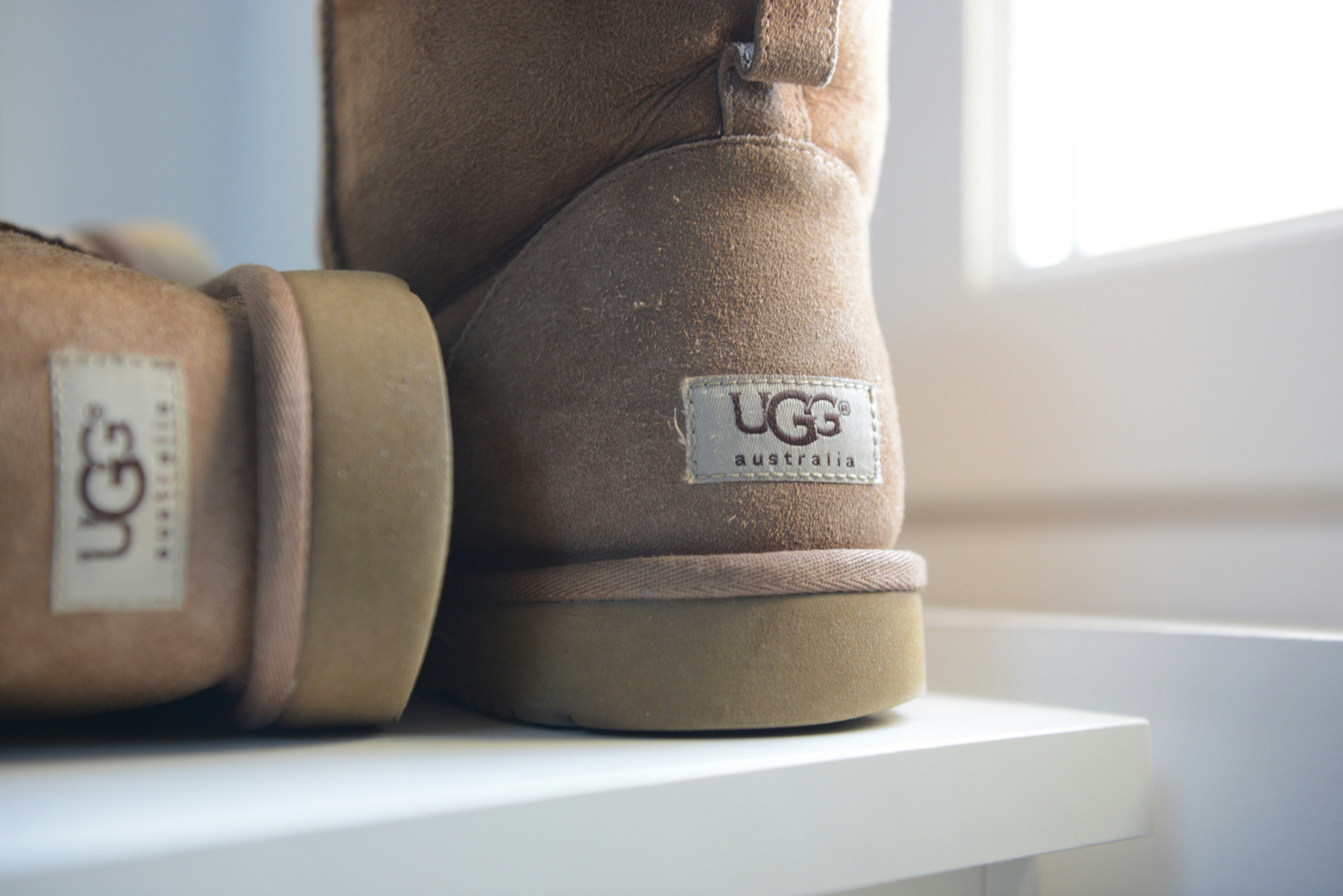 Why we invented Uggs  post image