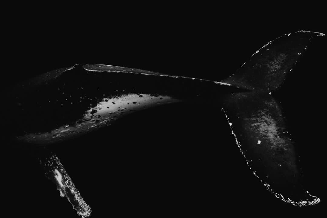 Finding light in darkness: dive into the world of photographer Ben Bagley