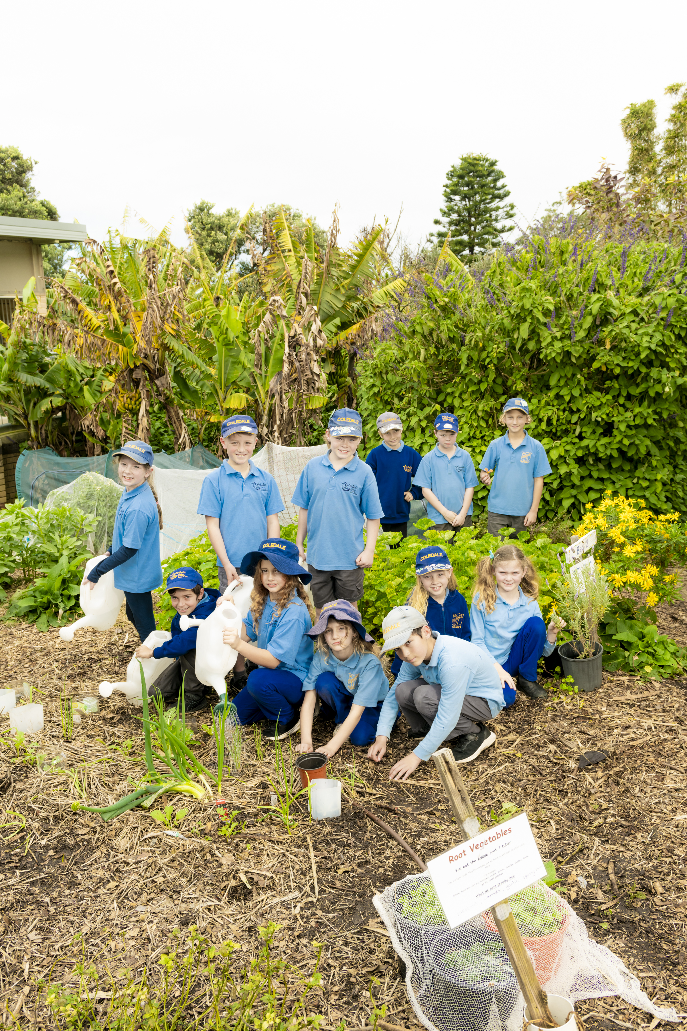 Spring in the Garden: How Coledale kids grow, cook, learn