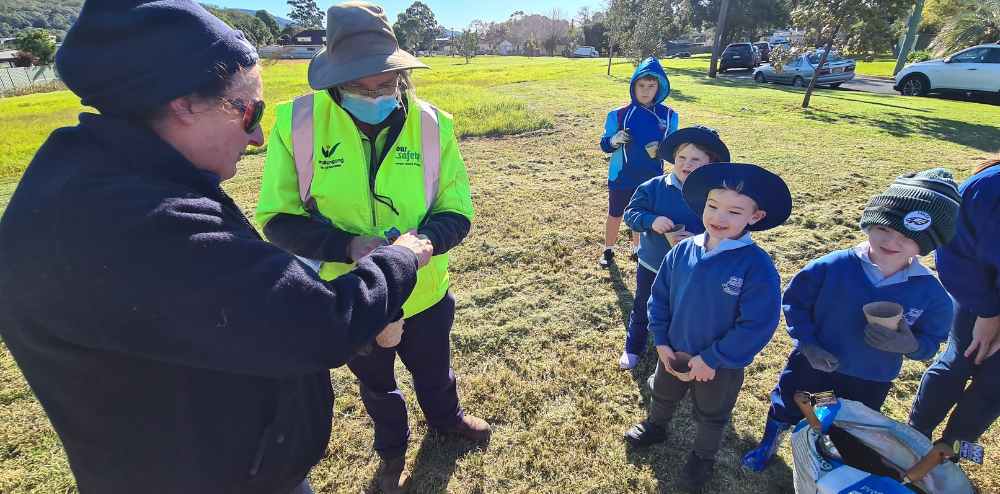 Thinking Big on Tiny Forests