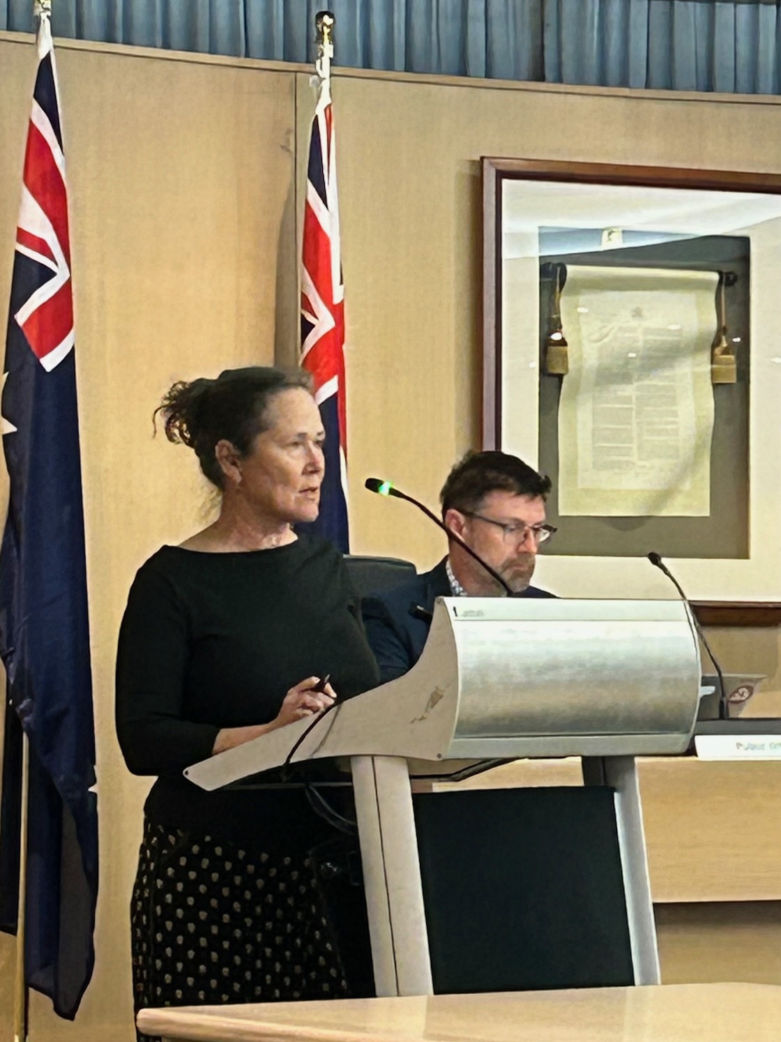 'City of peace' divided over Palestine flag motion