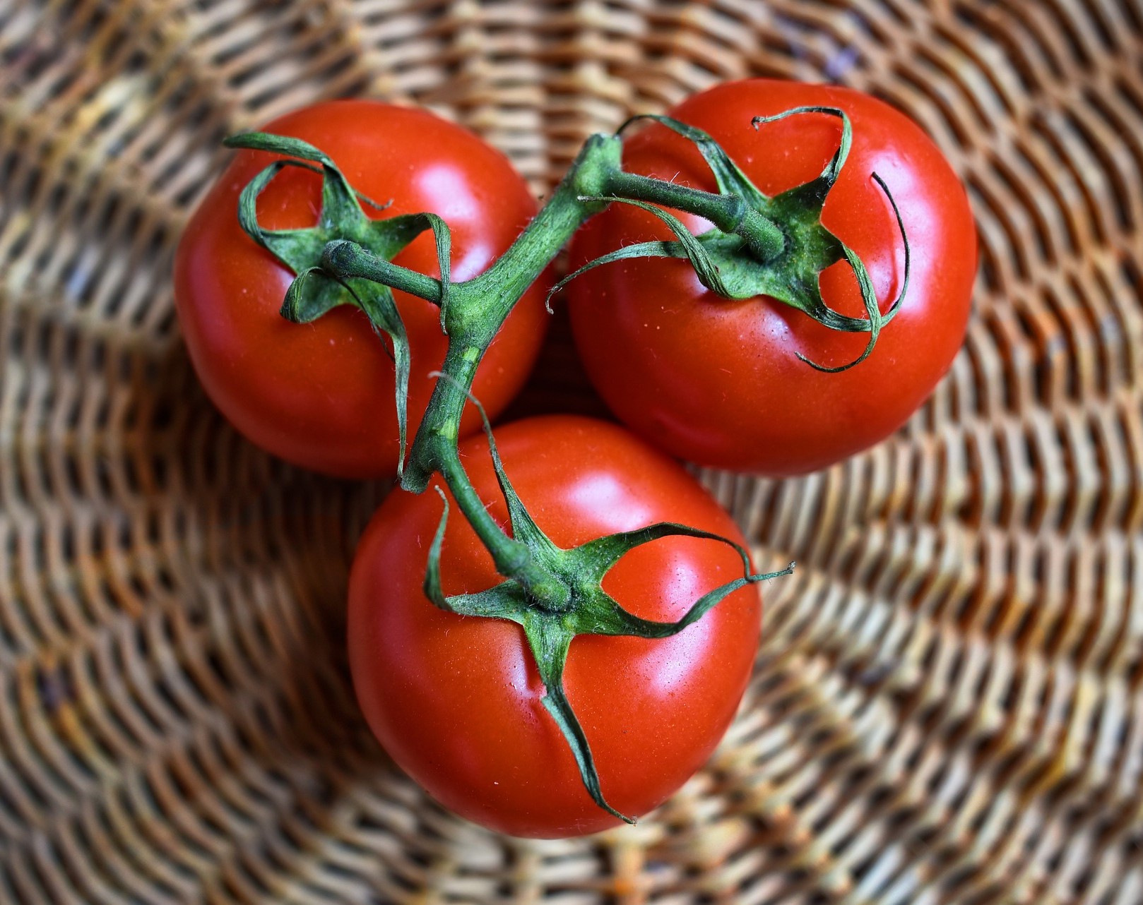 Let's talk about tomatoes  post image