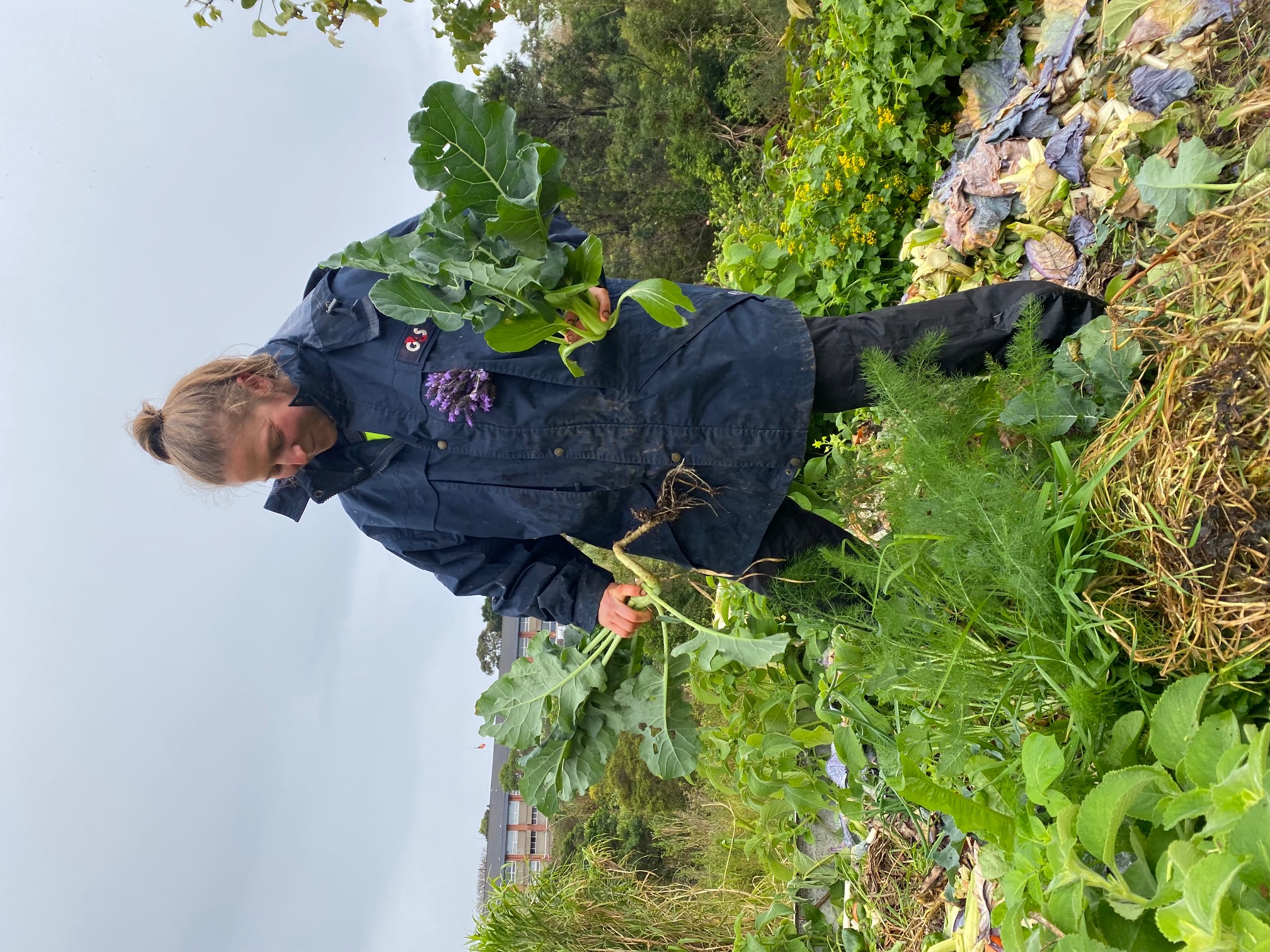 Meet public health champion Amy Carrad  post image