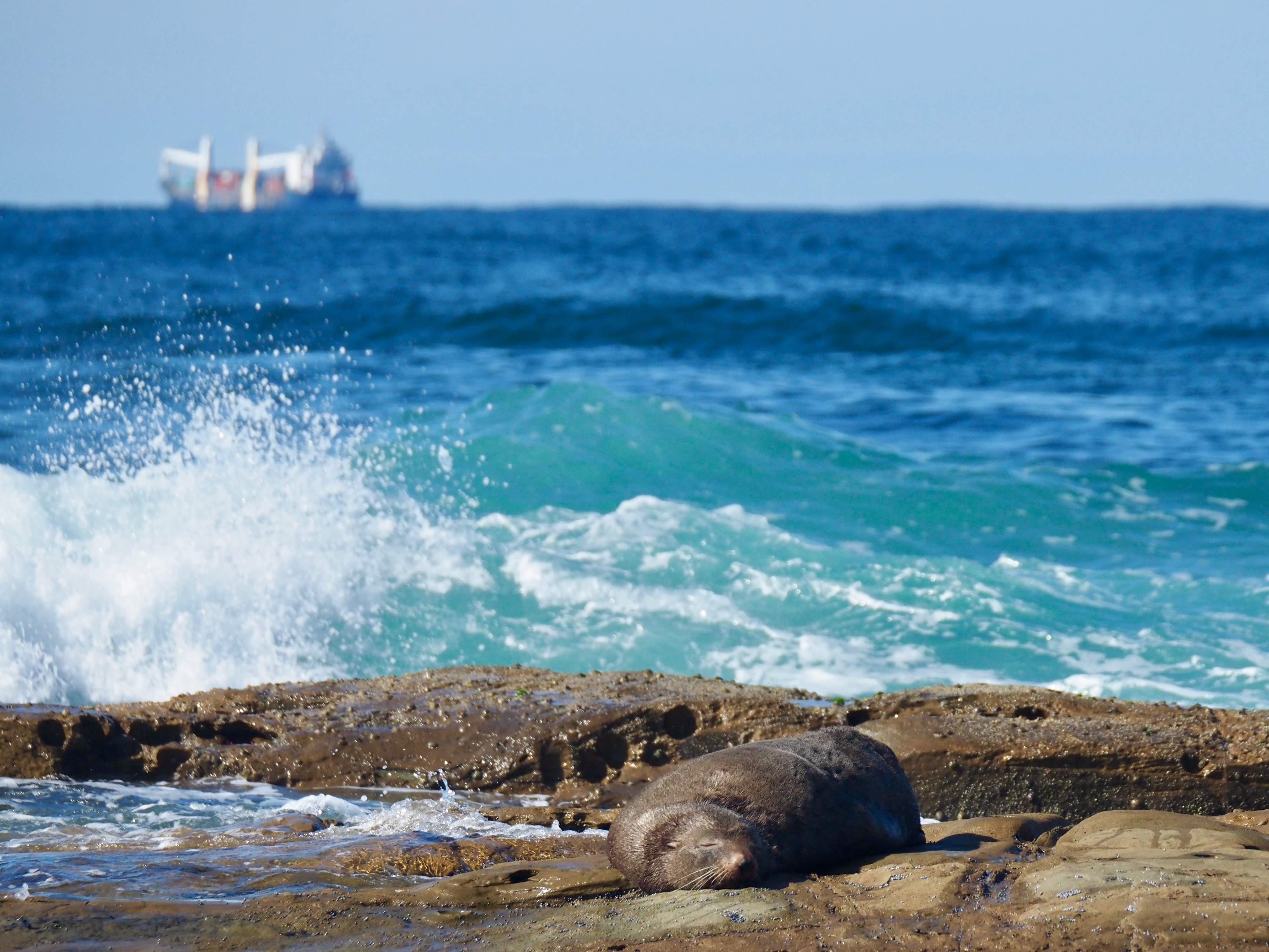 Nature Notes: Friday 13th May