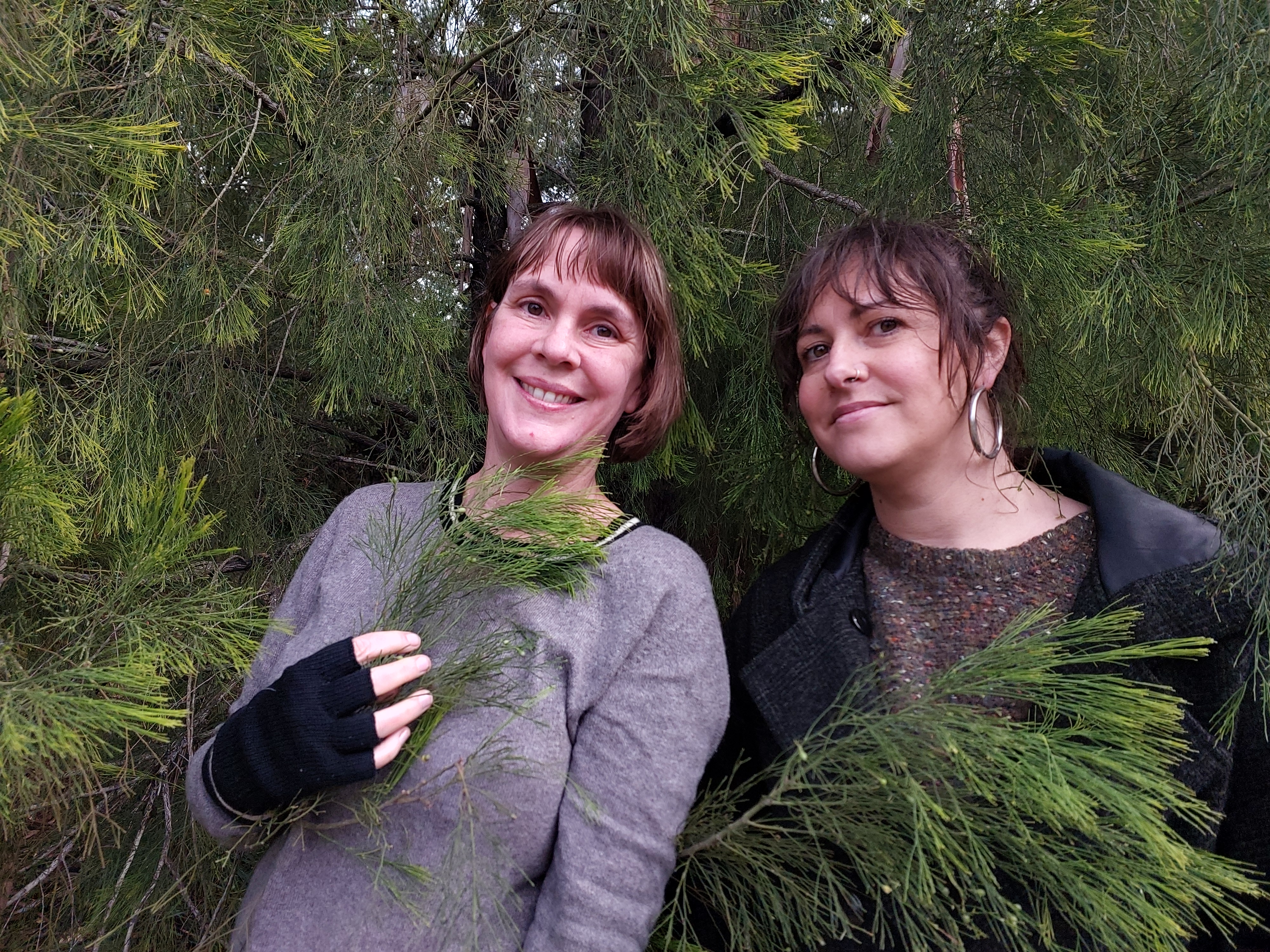 The Grassening: A living installation at Illawarra Nature Festival  post image