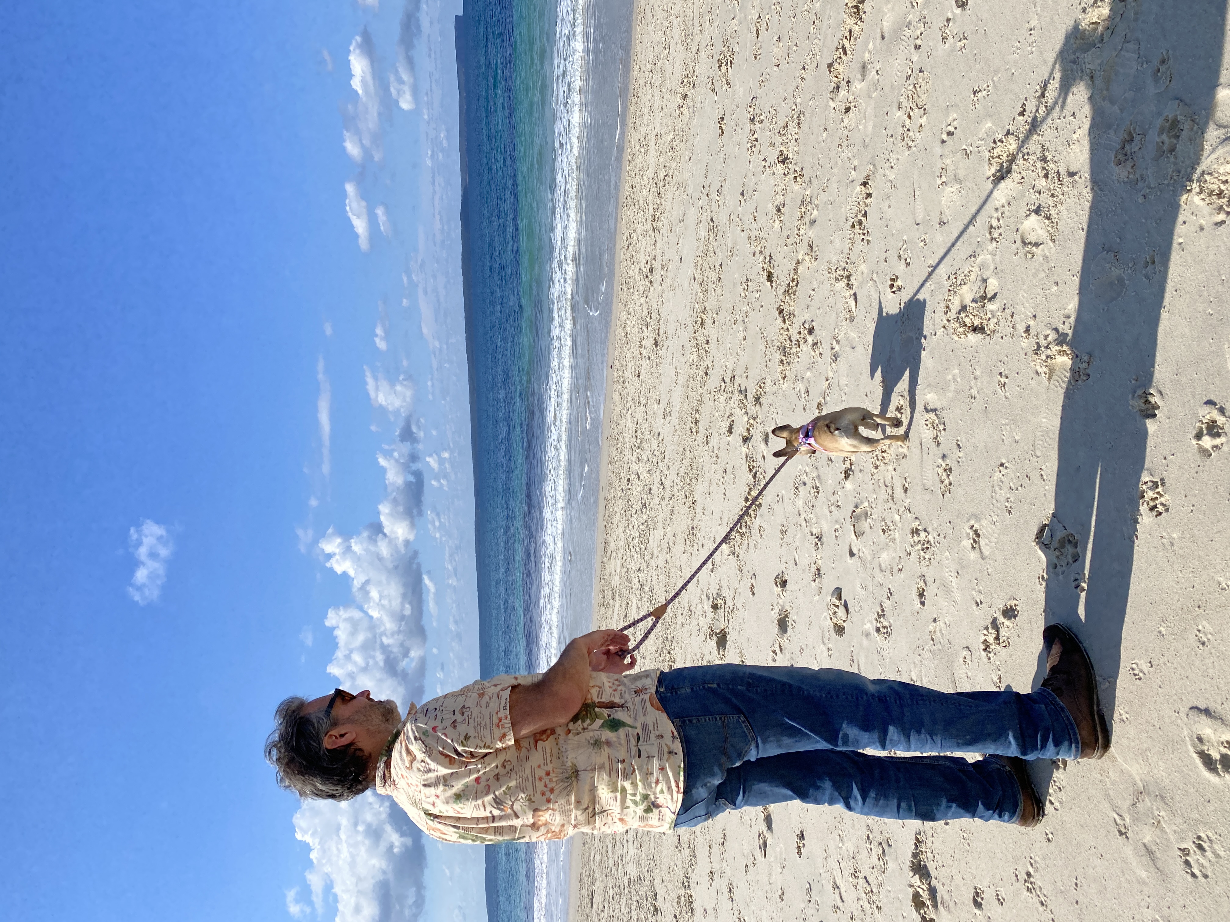 Have paws, will travel: discover dog-friendly Jervis Bay  post image