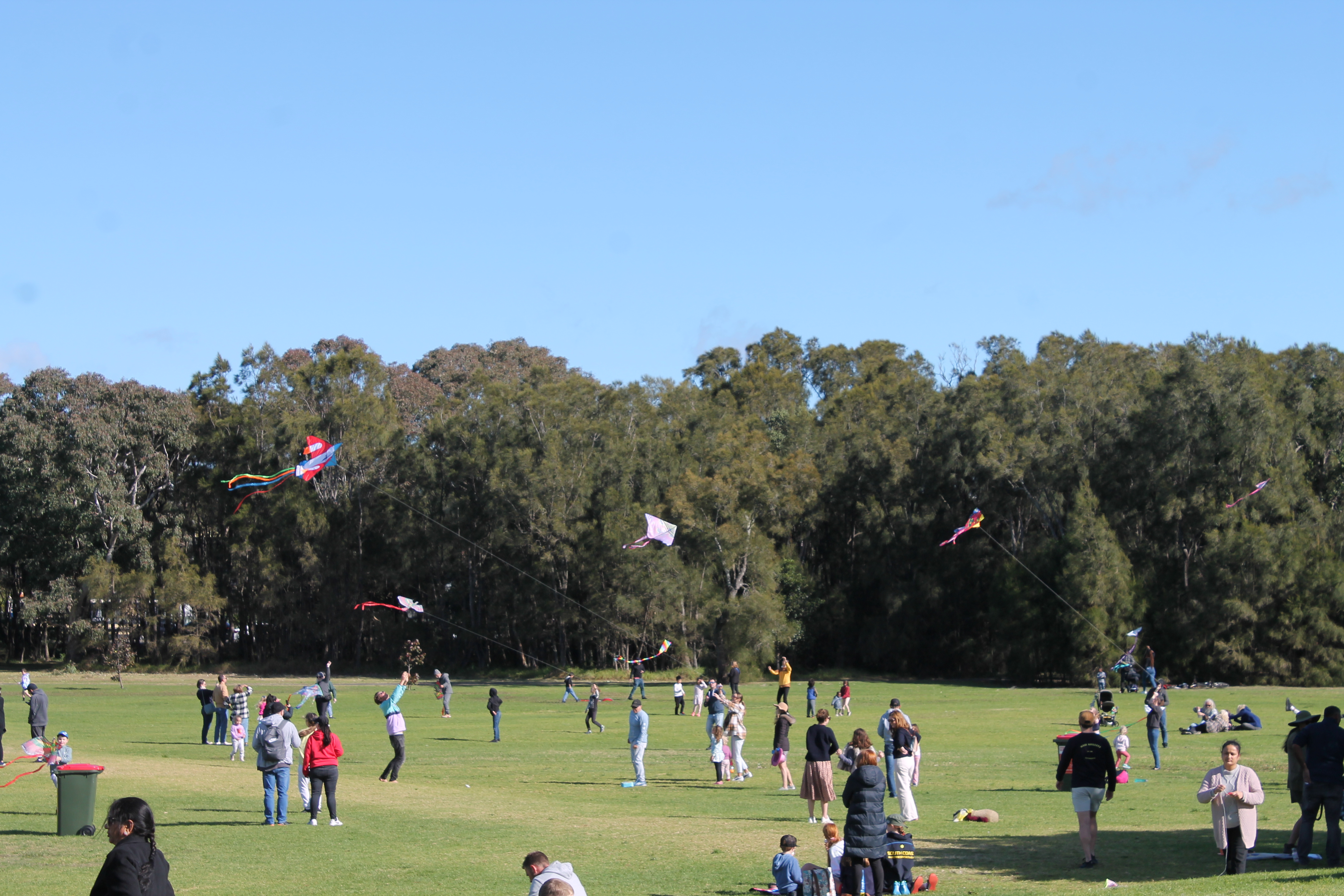 Kite Festival took off at Stuart Park