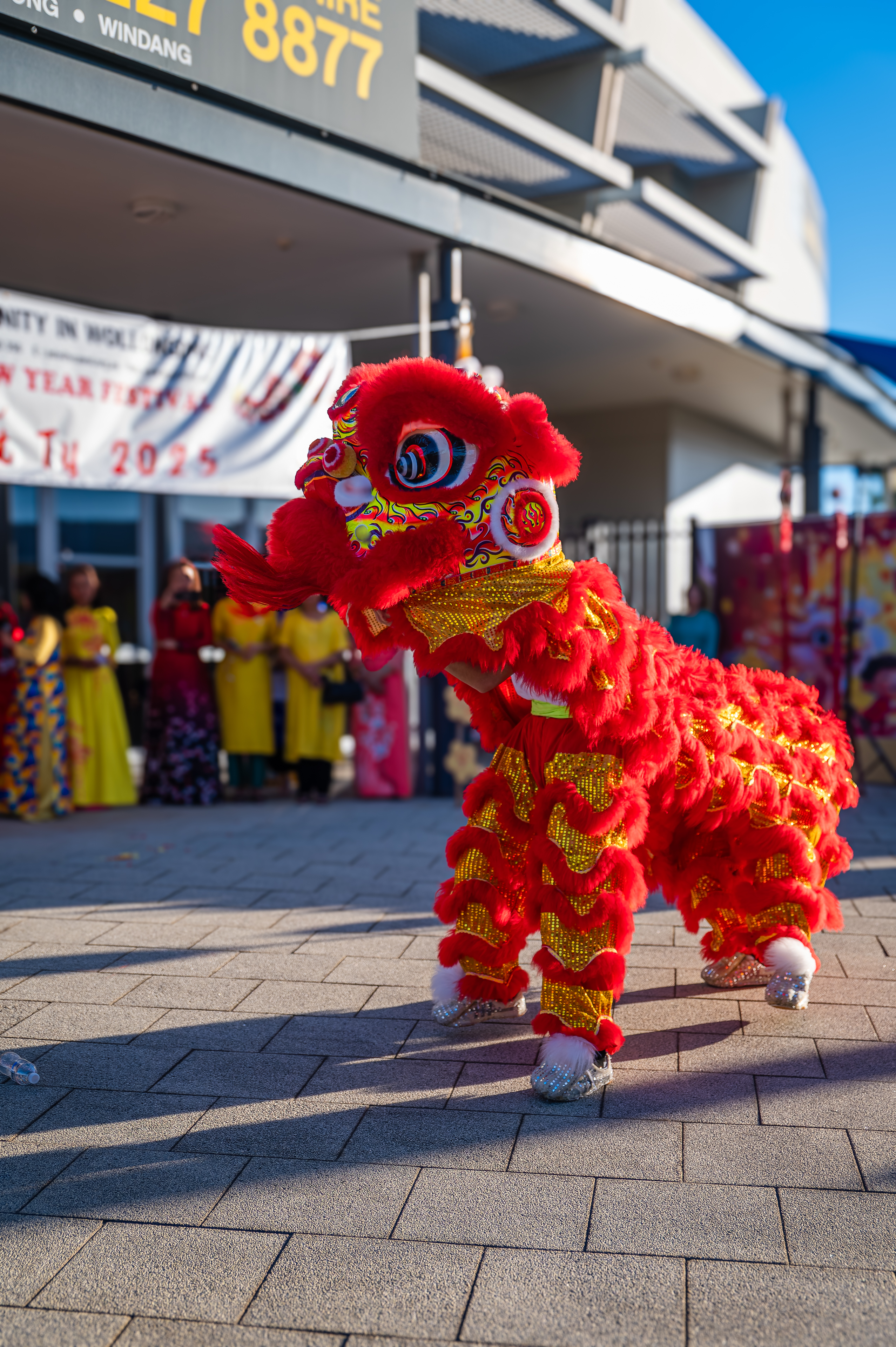 Vietnamese community celebrates Year of the Snake with song and dance at Dapto