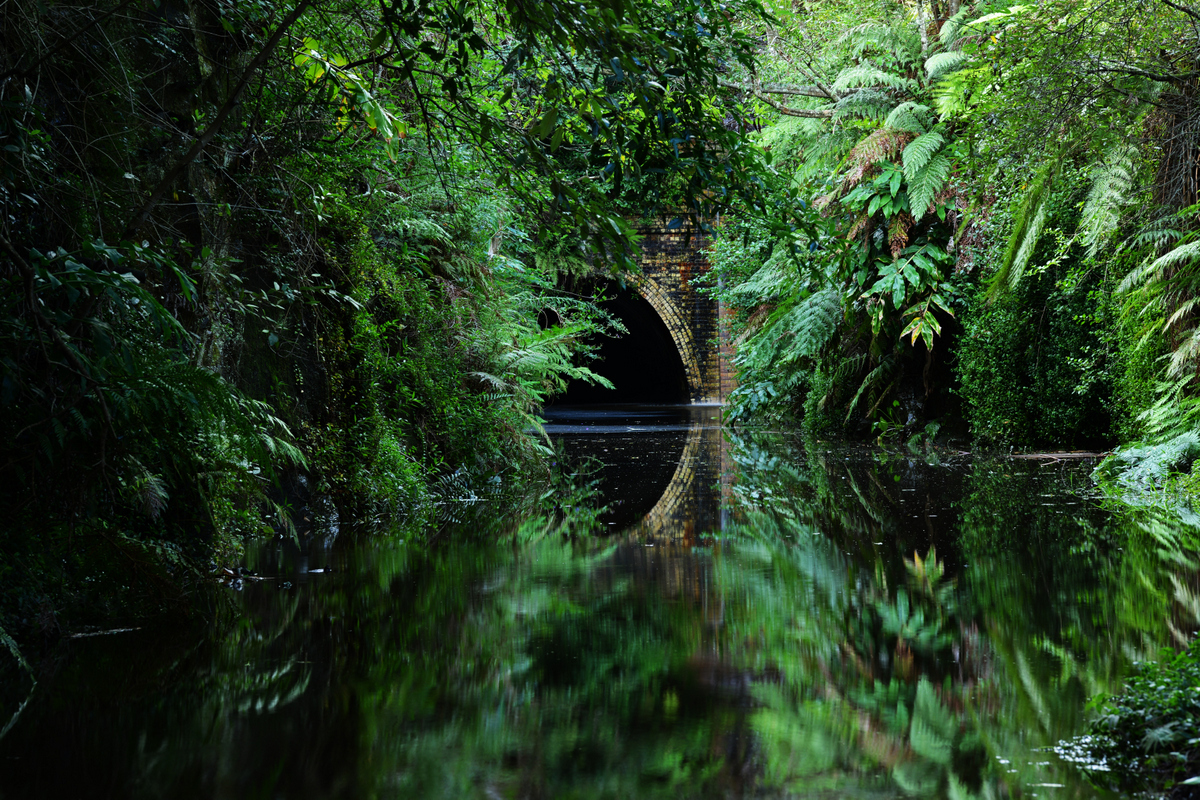 Hollywood comes to Helensburgh