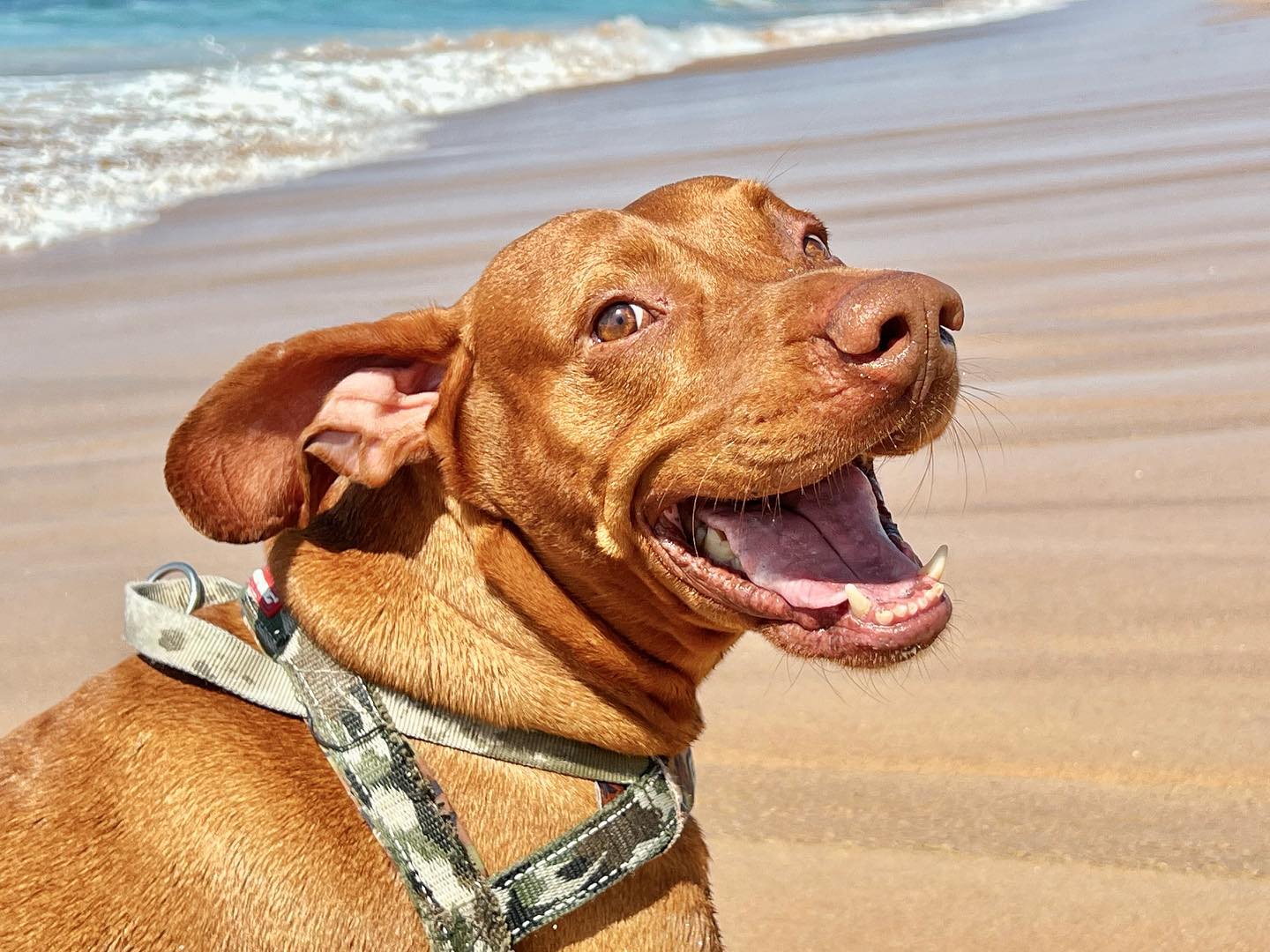 Hello, Wednesday readers